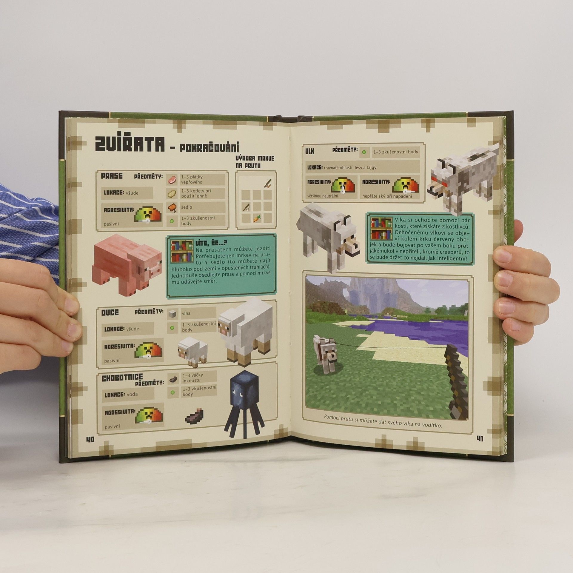 Various authors Minecraft: Základní příručka