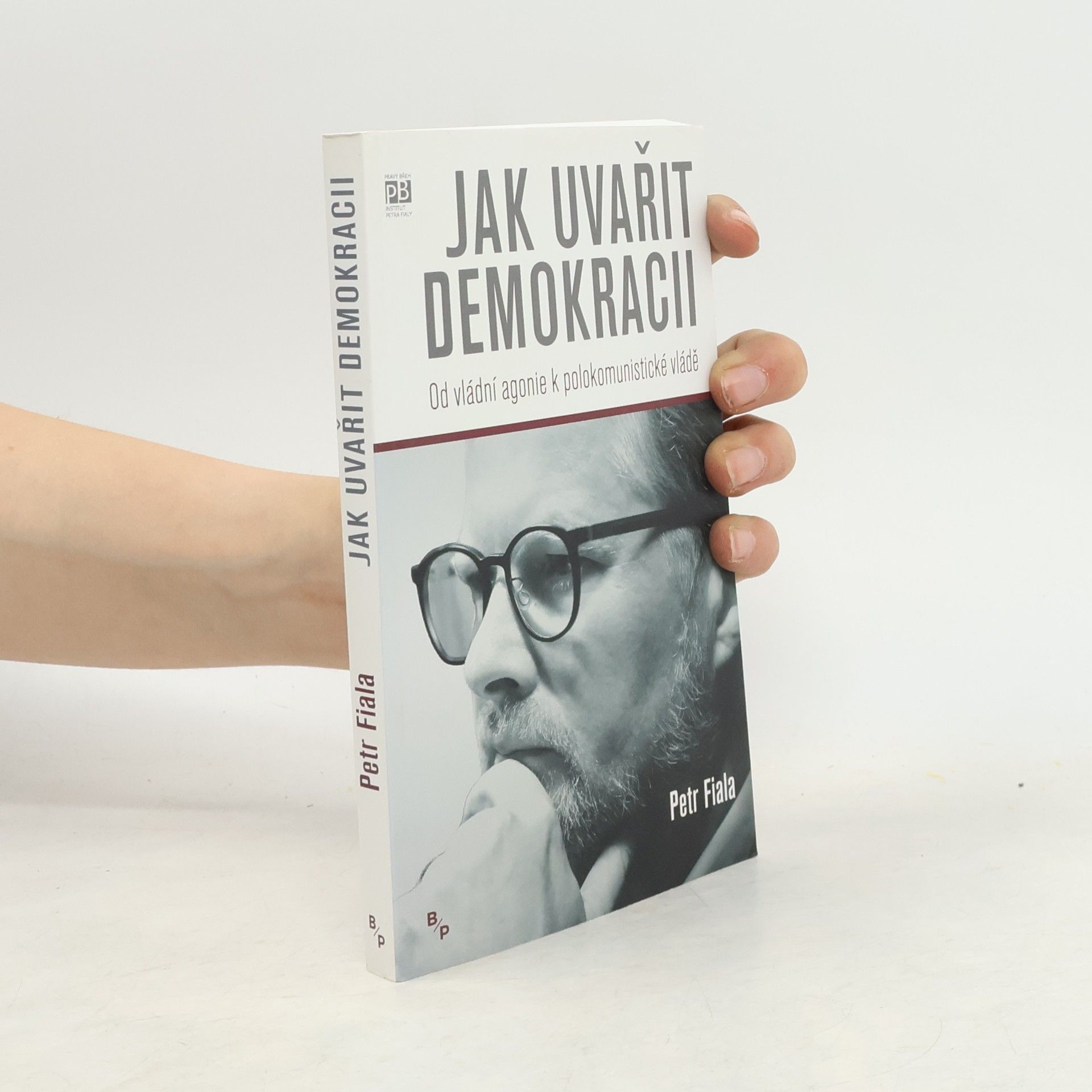 Jak uvařit demokracii. Od vládní agonie k polokomunistické vládě