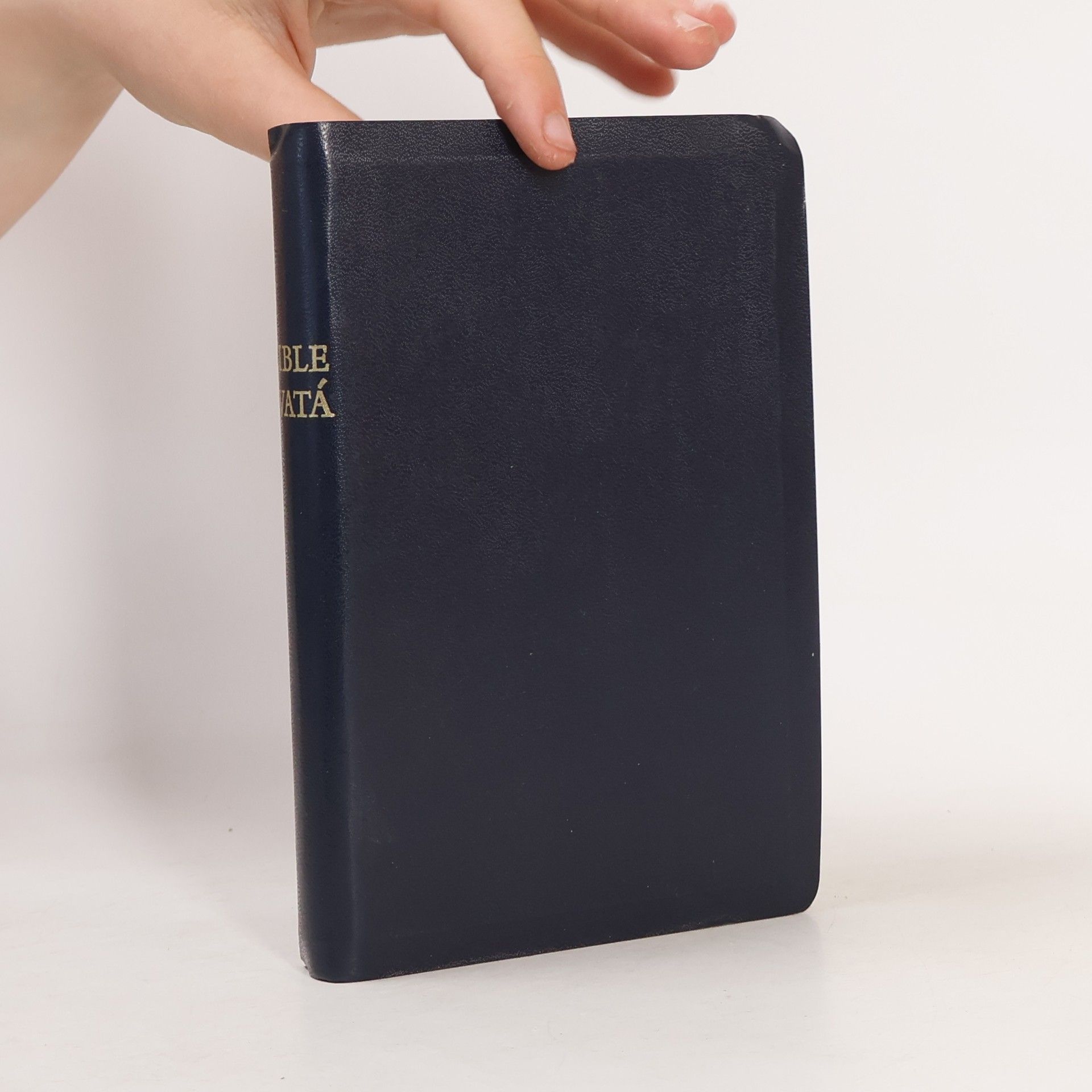 Kolektív autorov Bible svatá aneb včecka svatá písma starého i nového zákona