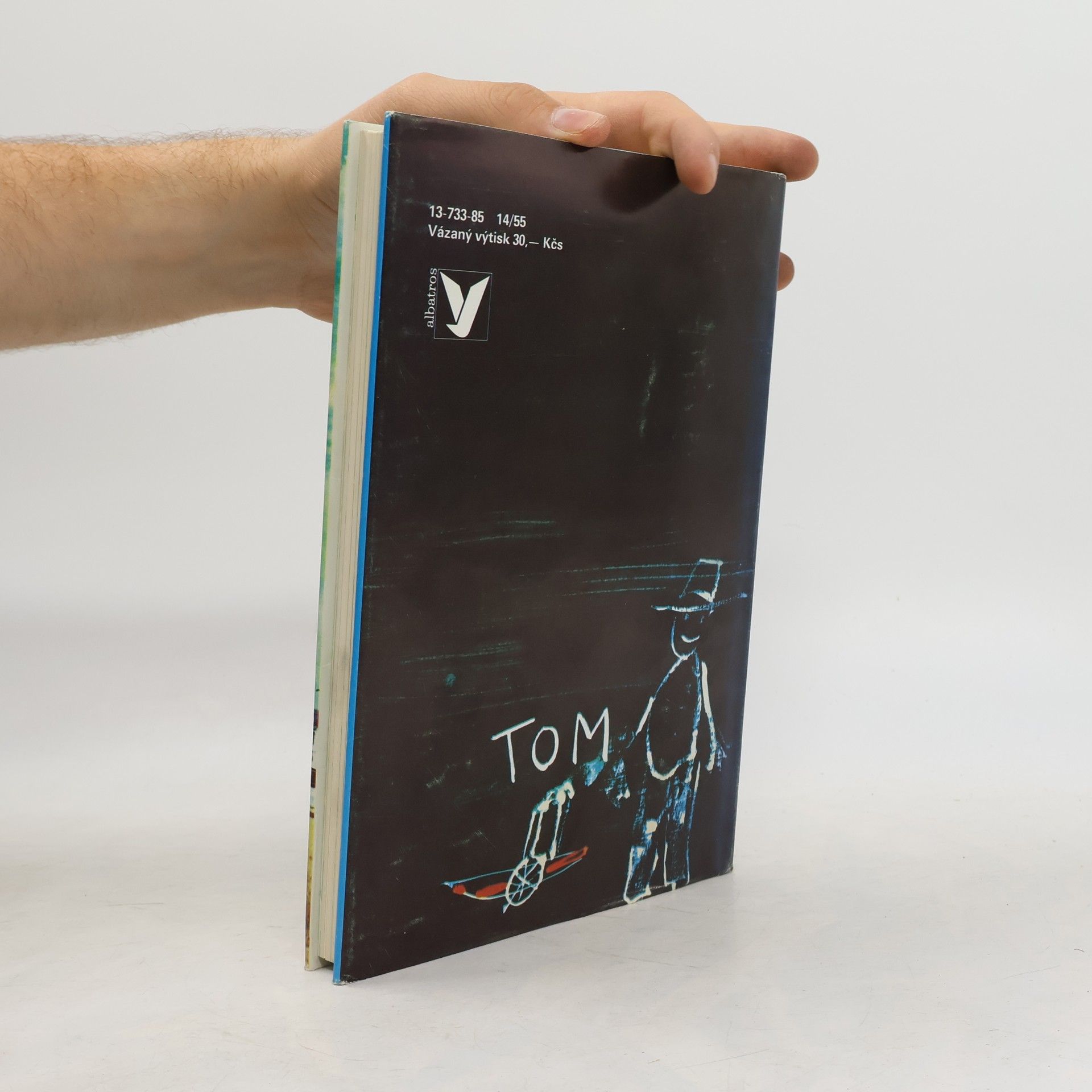 Mark Twain Dobrodružství Toma Sawyera