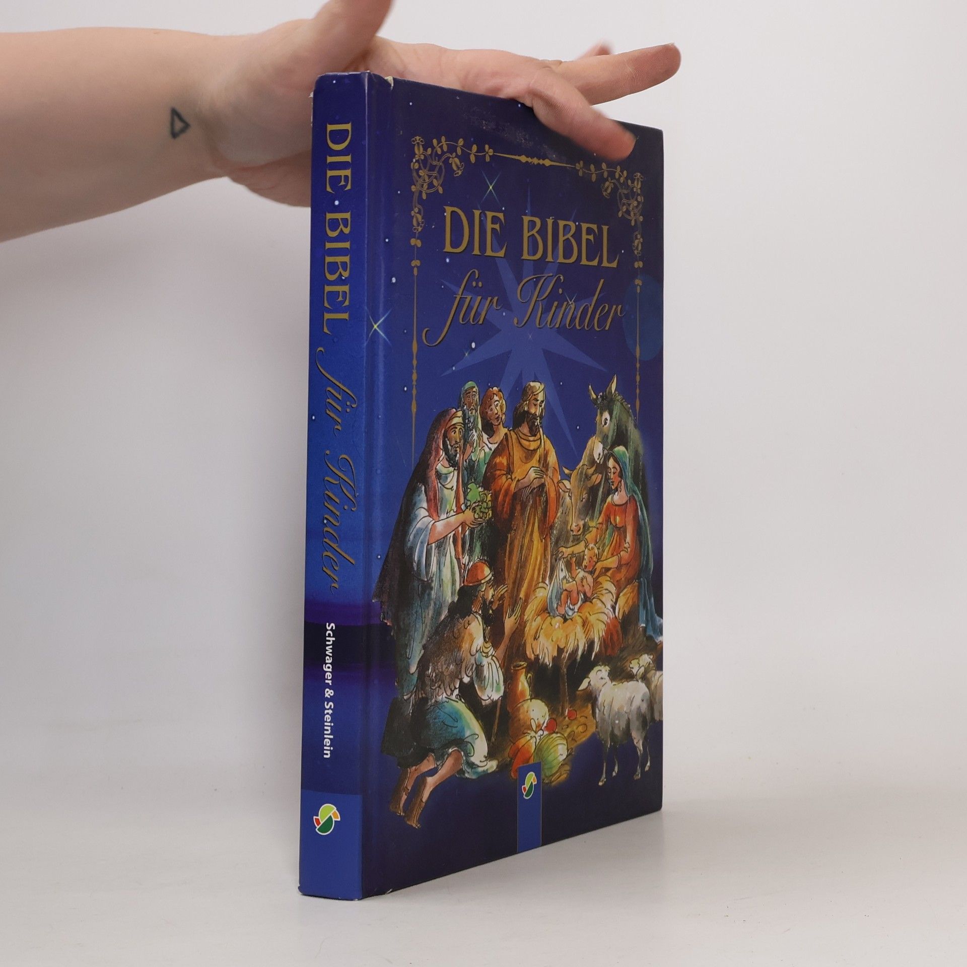 Collectif d'auteurs Die Bibel für Kinder