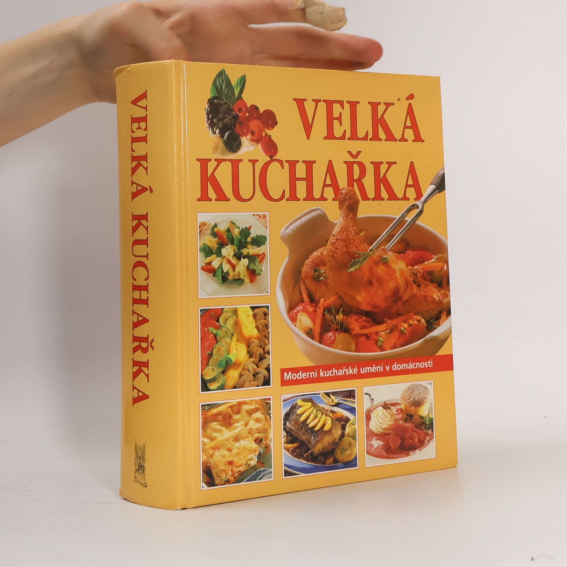Autorenkollektiv Velká kuchařka