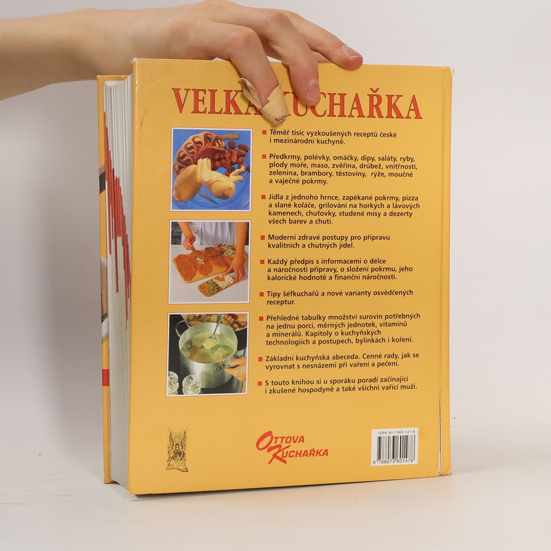 Autorenkollektiv Velká kuchařka