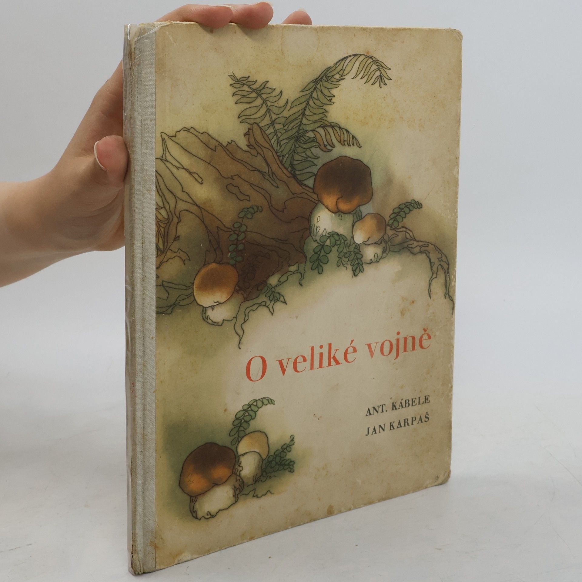 Antonín Kábele O veliké vojně