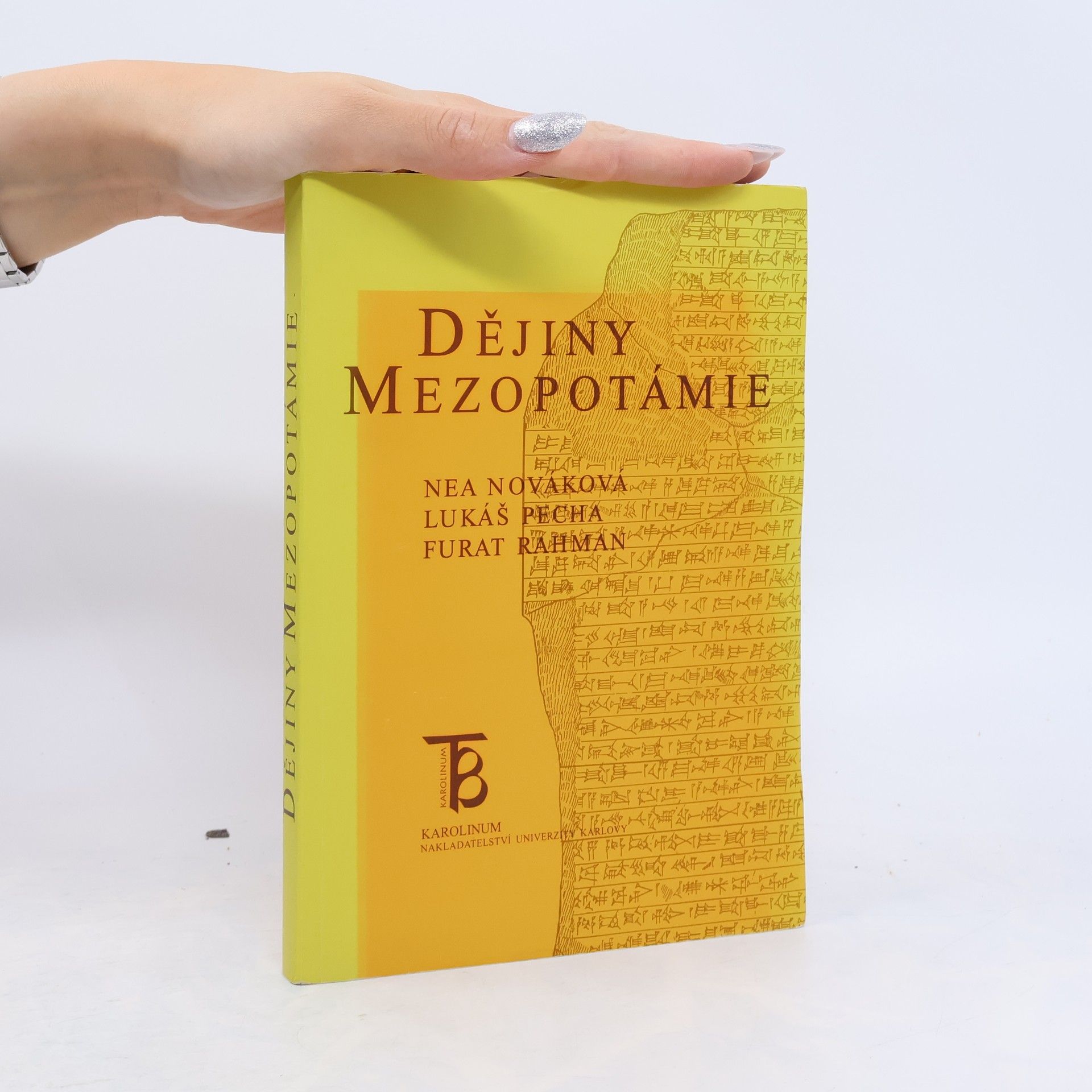 Nea Nováková Dějiny Mezopotámie