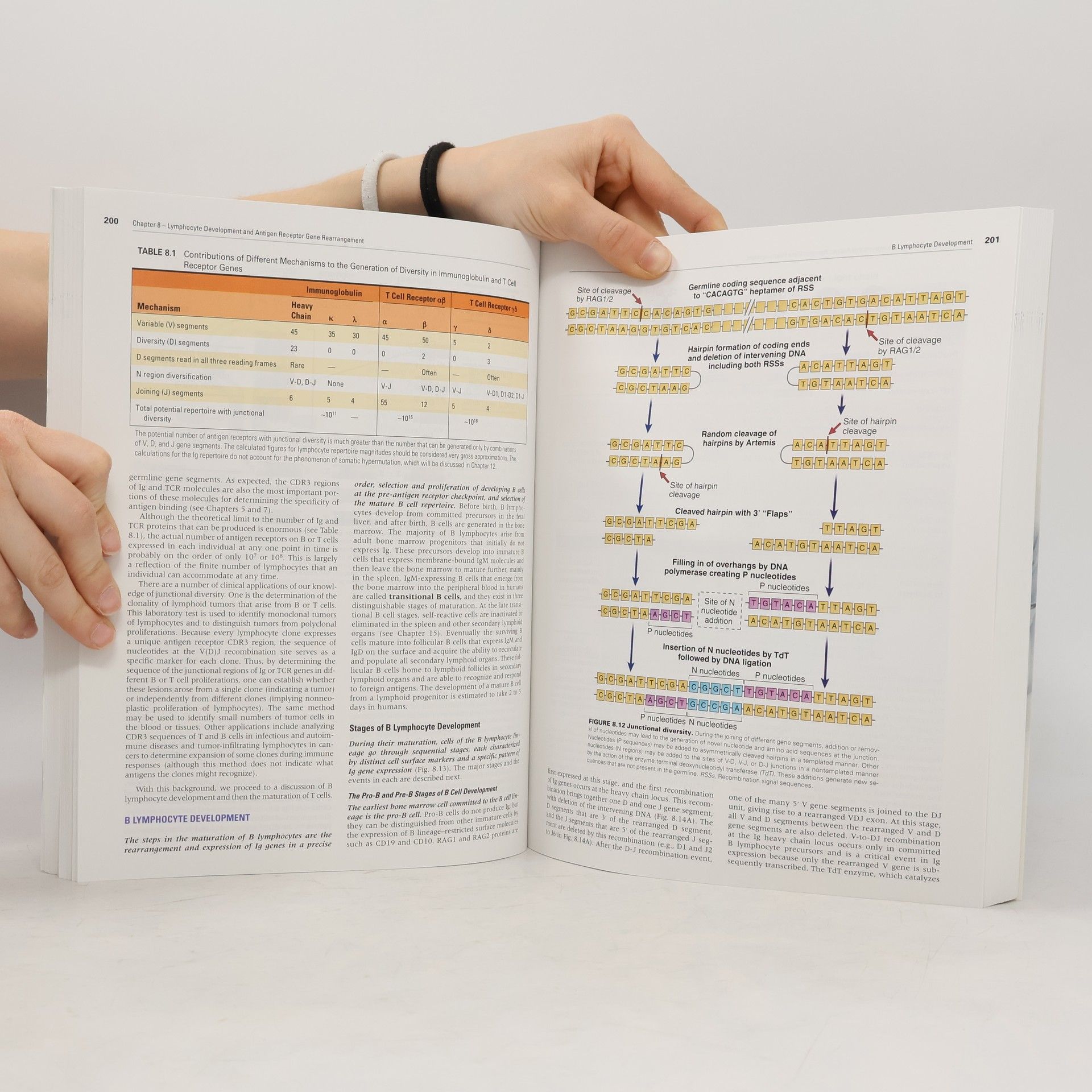 Abul K. Abbas Cellular and Molecular Immunology