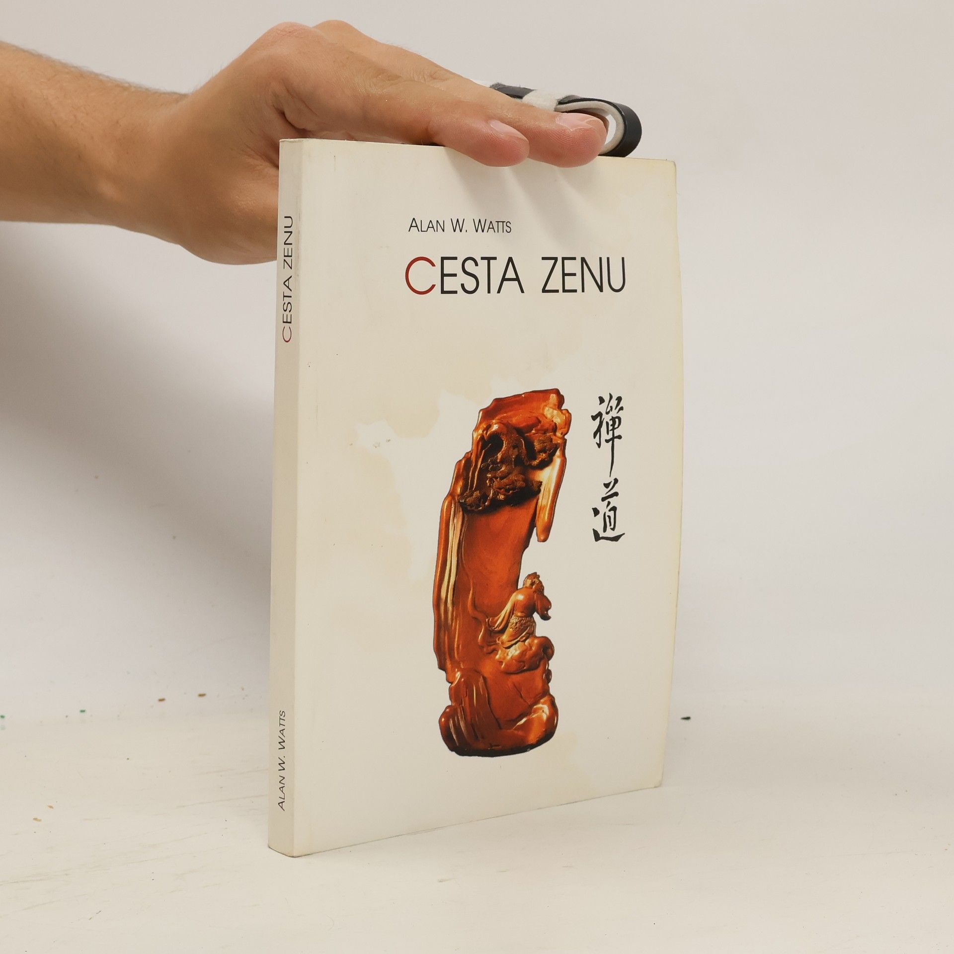 Alan Watts Cesta zenu