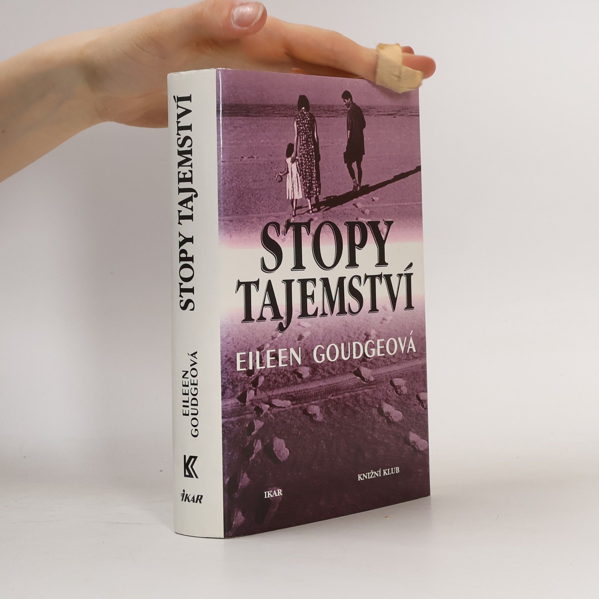 Eileen Goudge Stopy tajemství