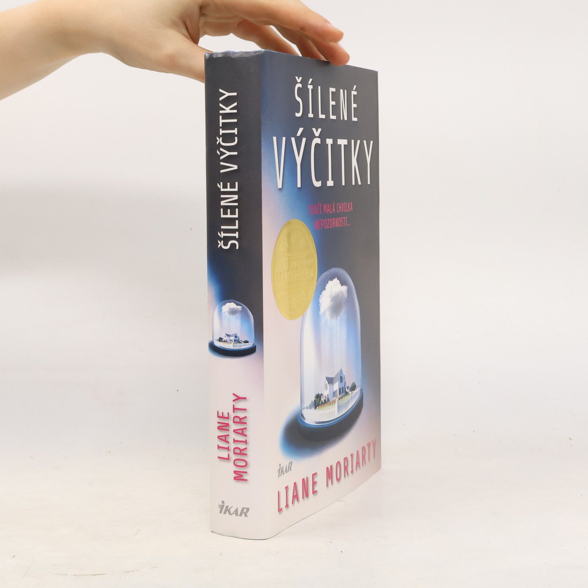 Liane Moriarty Šílené výčitky