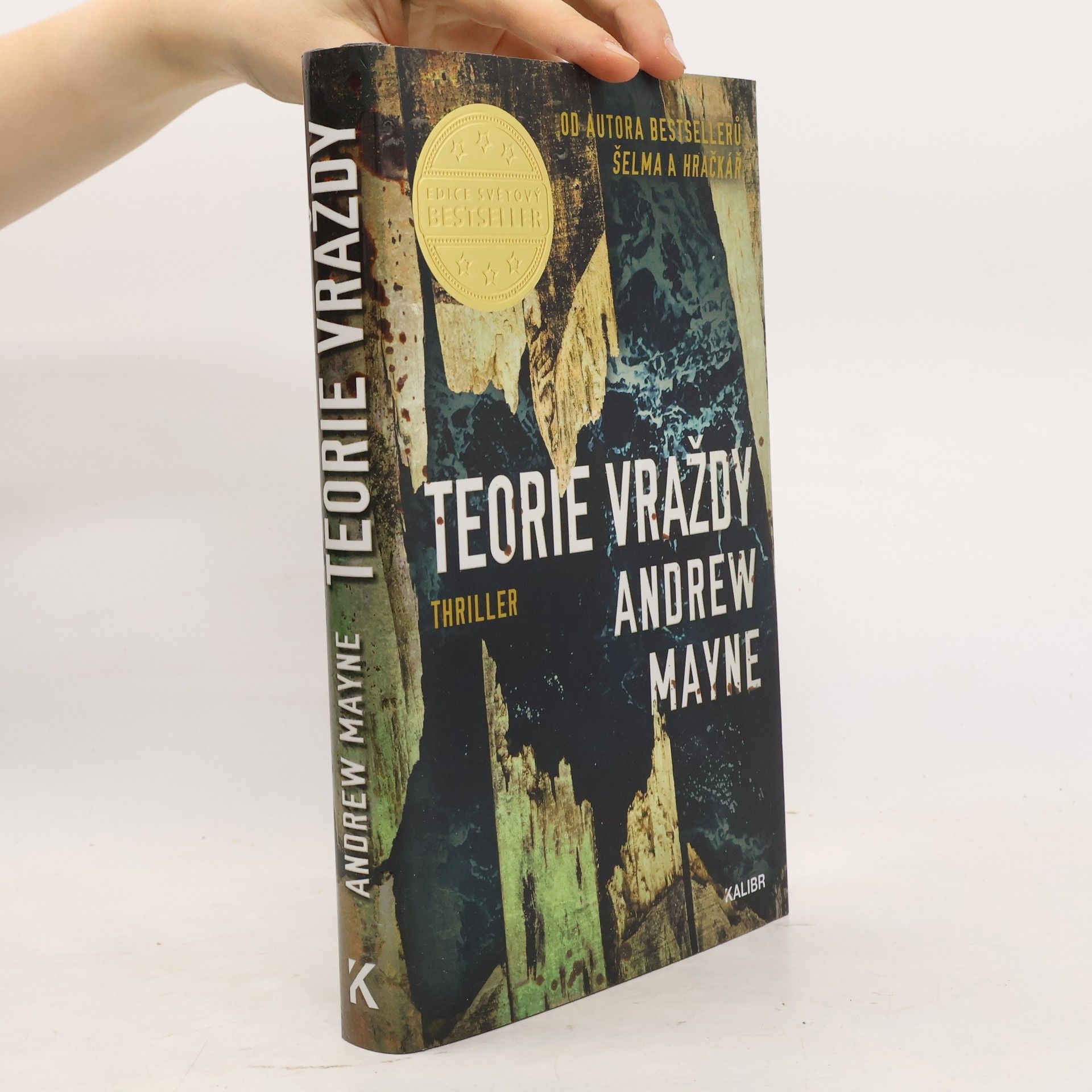 Andrew Mayne Teorie vraždy