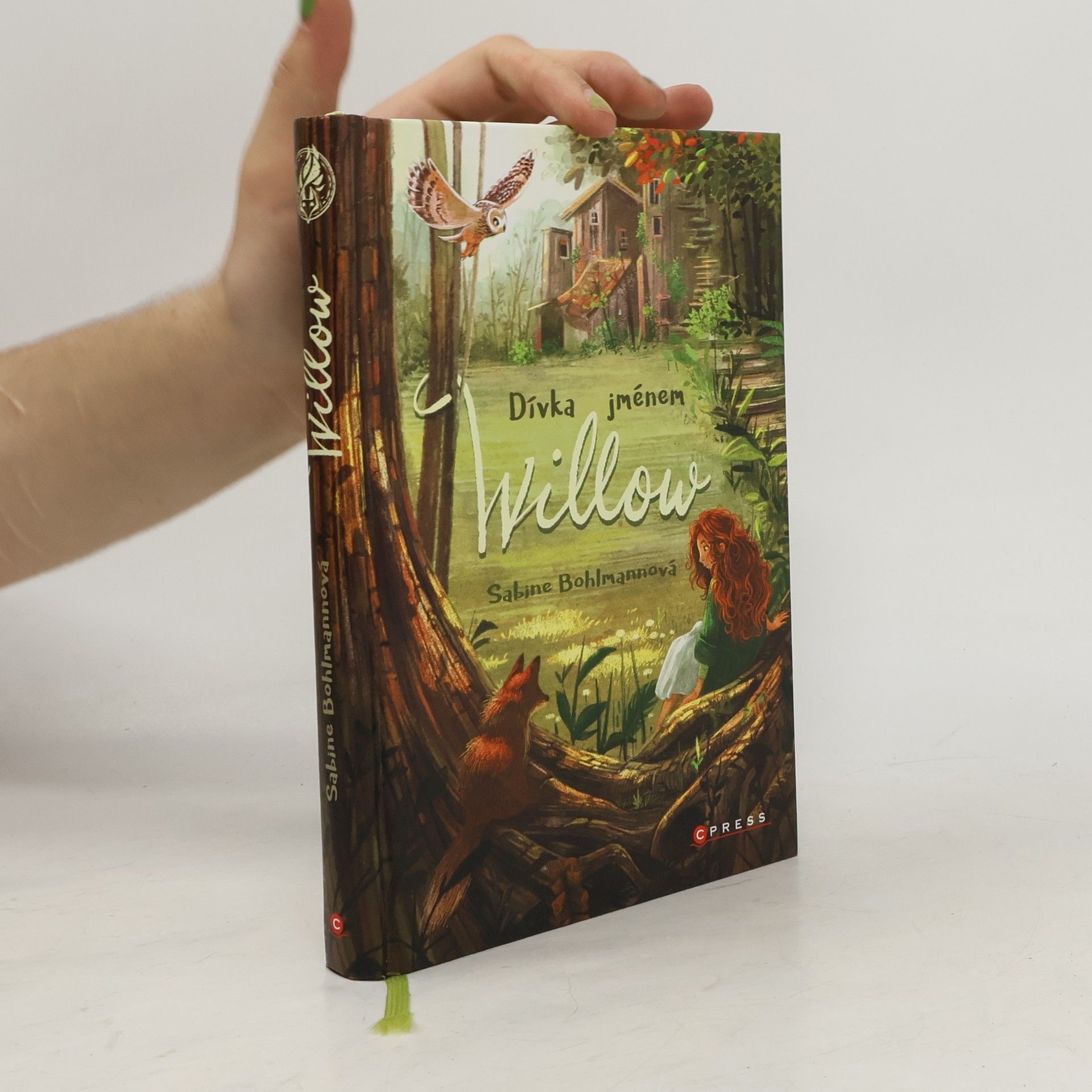 Sabine Bohlmann Dívka jménem Willow