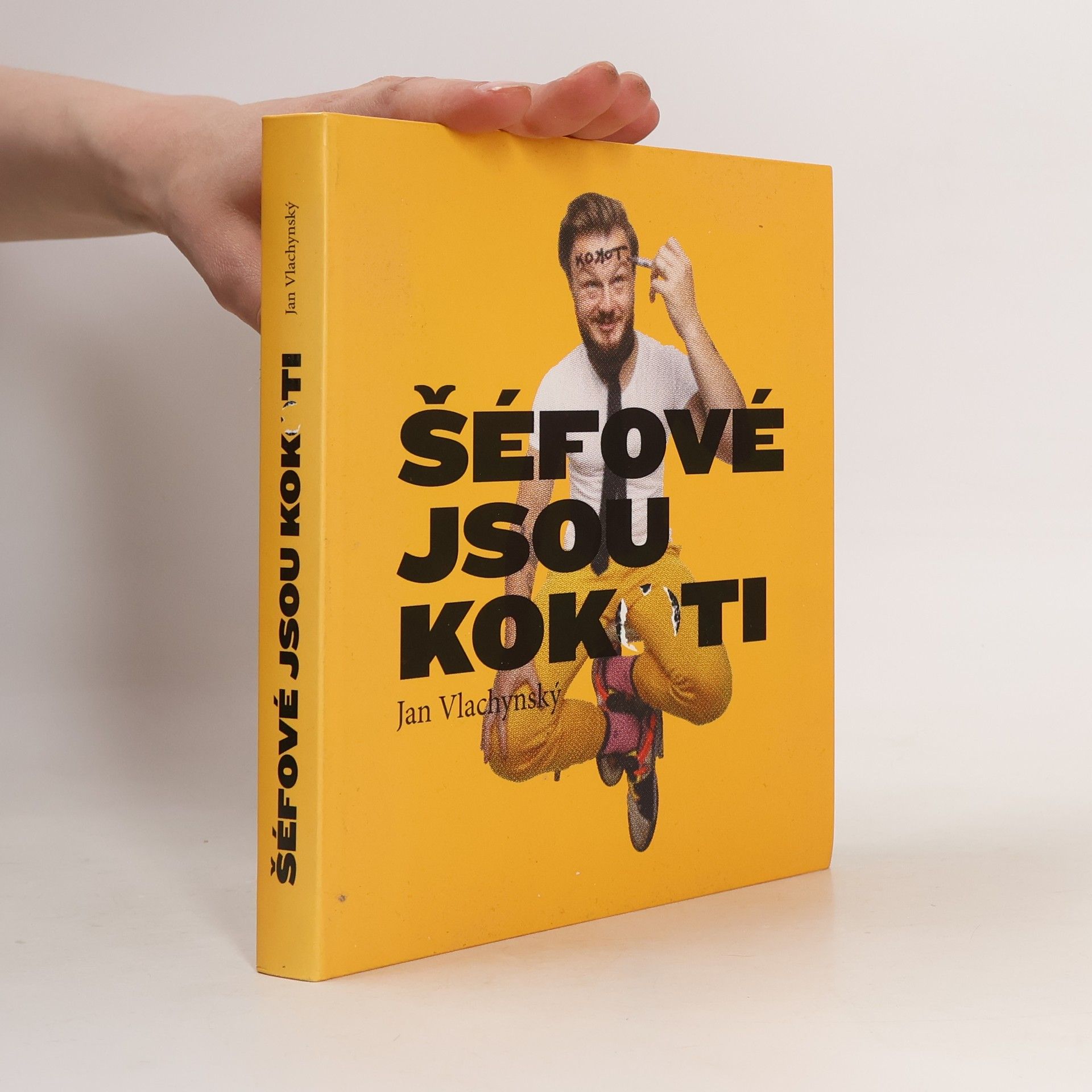 Jan Vlachynský Šéfové jsou kokoti