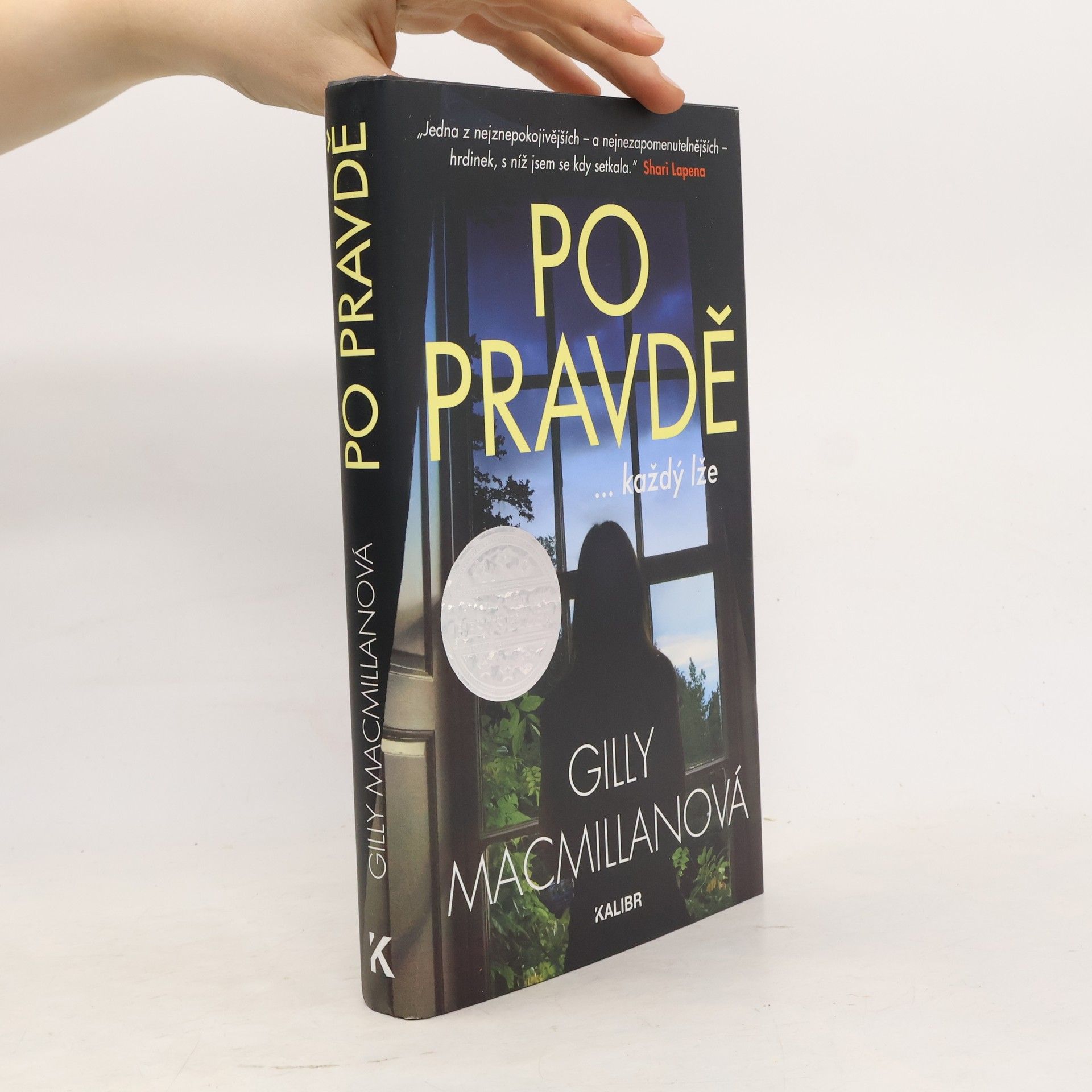 Gilly Macmillan Po pravdě ...každý lže