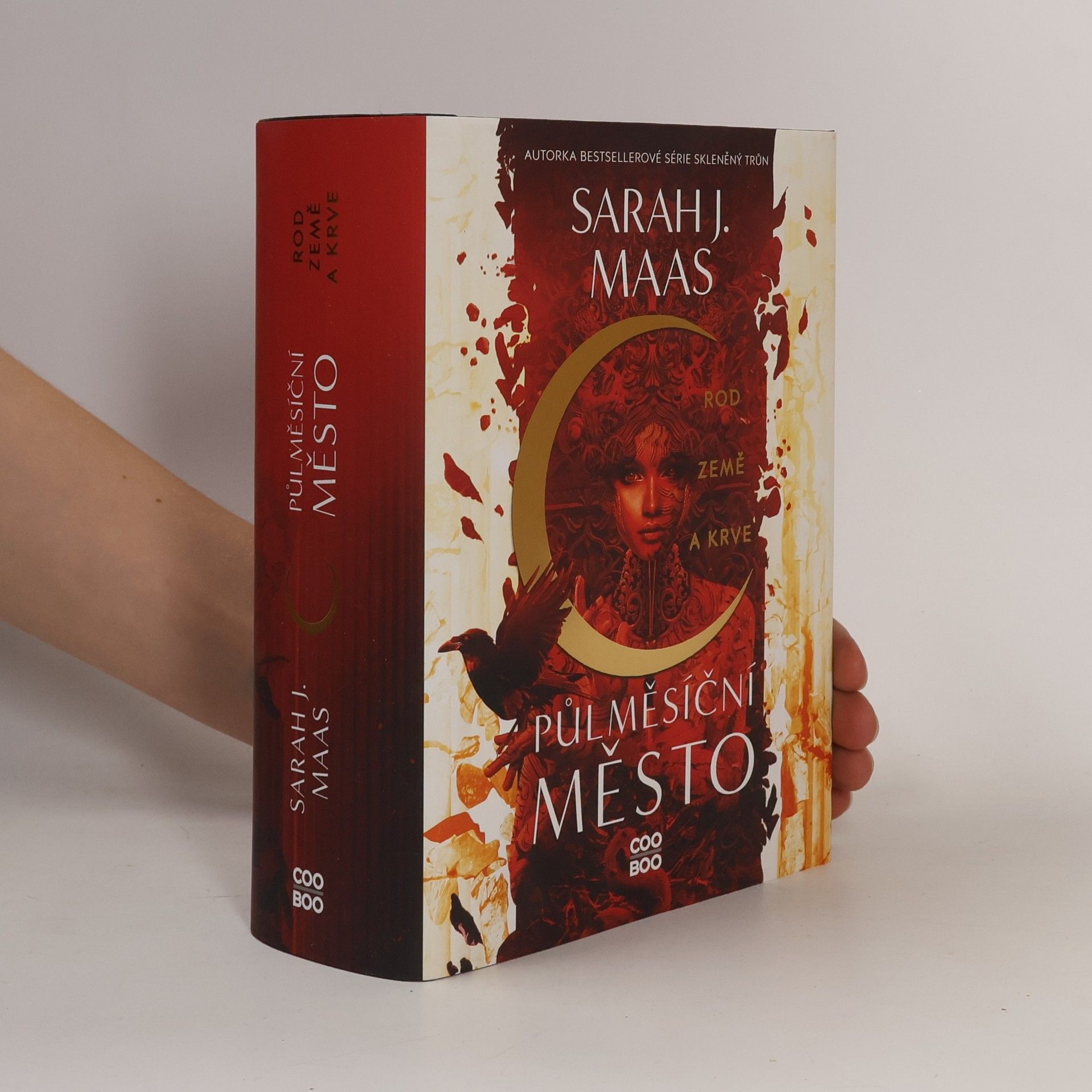 Sarah J. Maas Rod země a krve