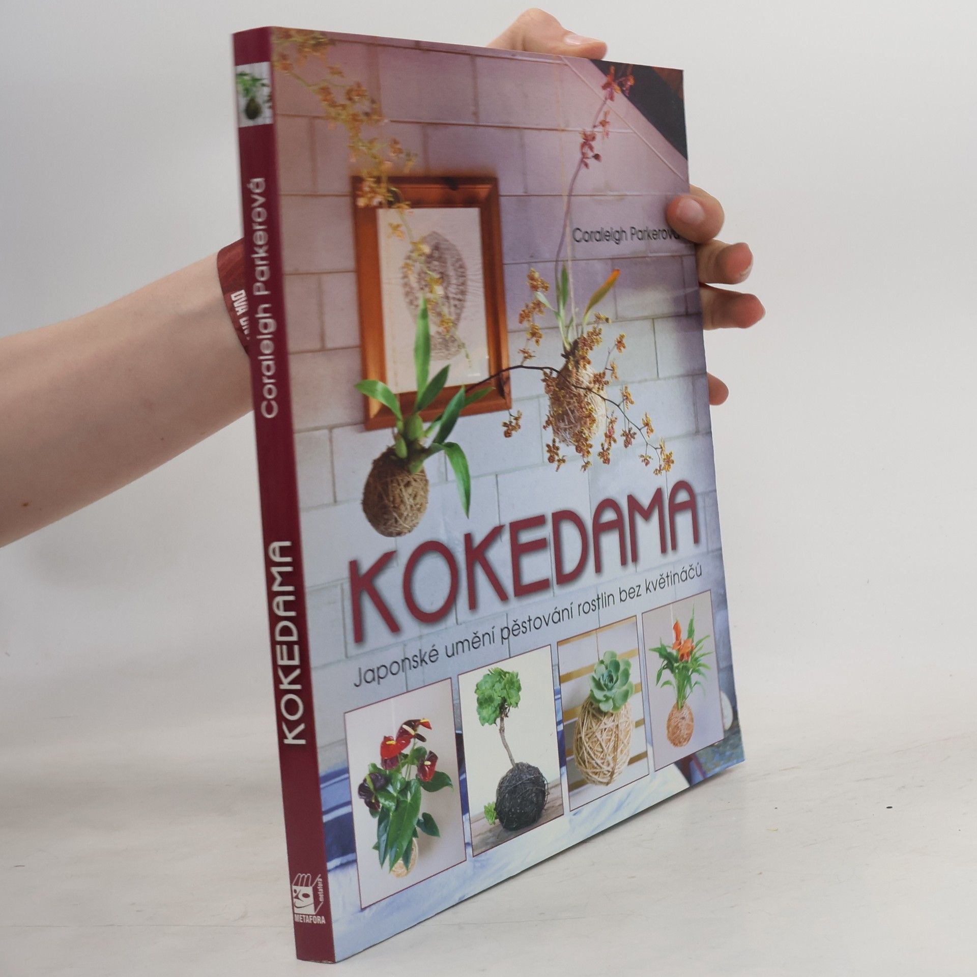 Coraleigh Parker Kokedama - Japonské umění pěstování rostlin bez květináčů