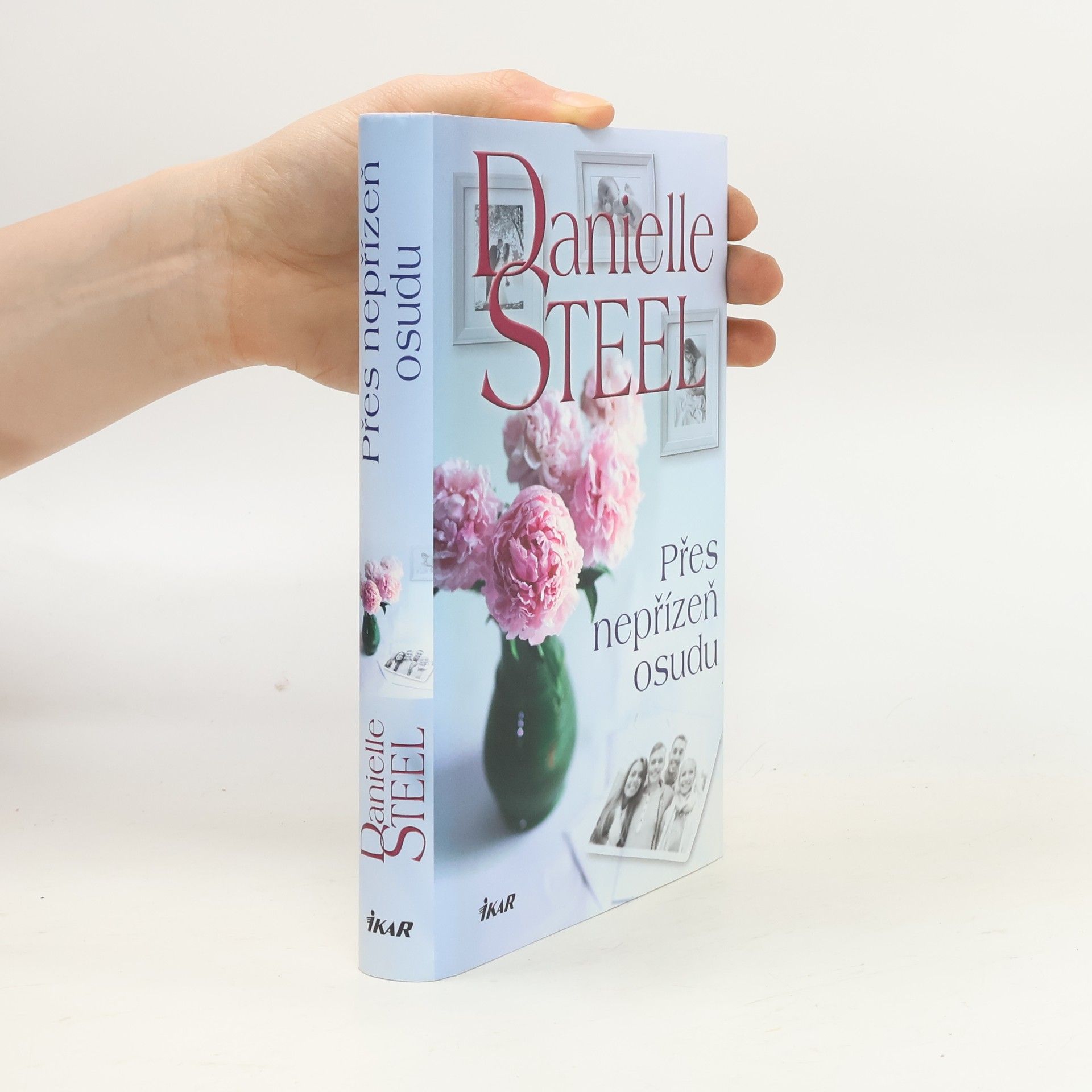 Danielle Steel Přes nepřízeň osudu