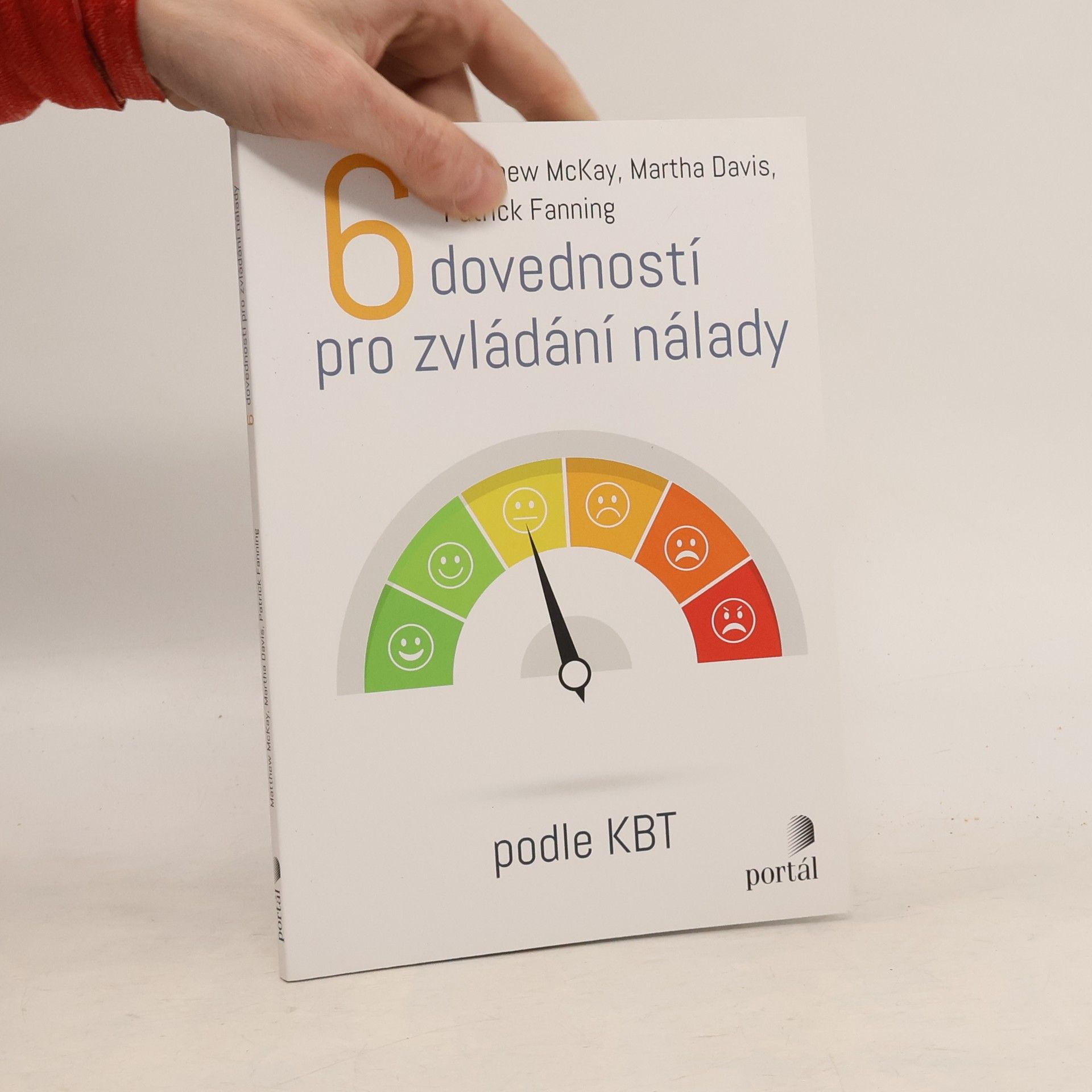 Patrick Fanning 6 dovedností pro zvládání nálady : podle KBT