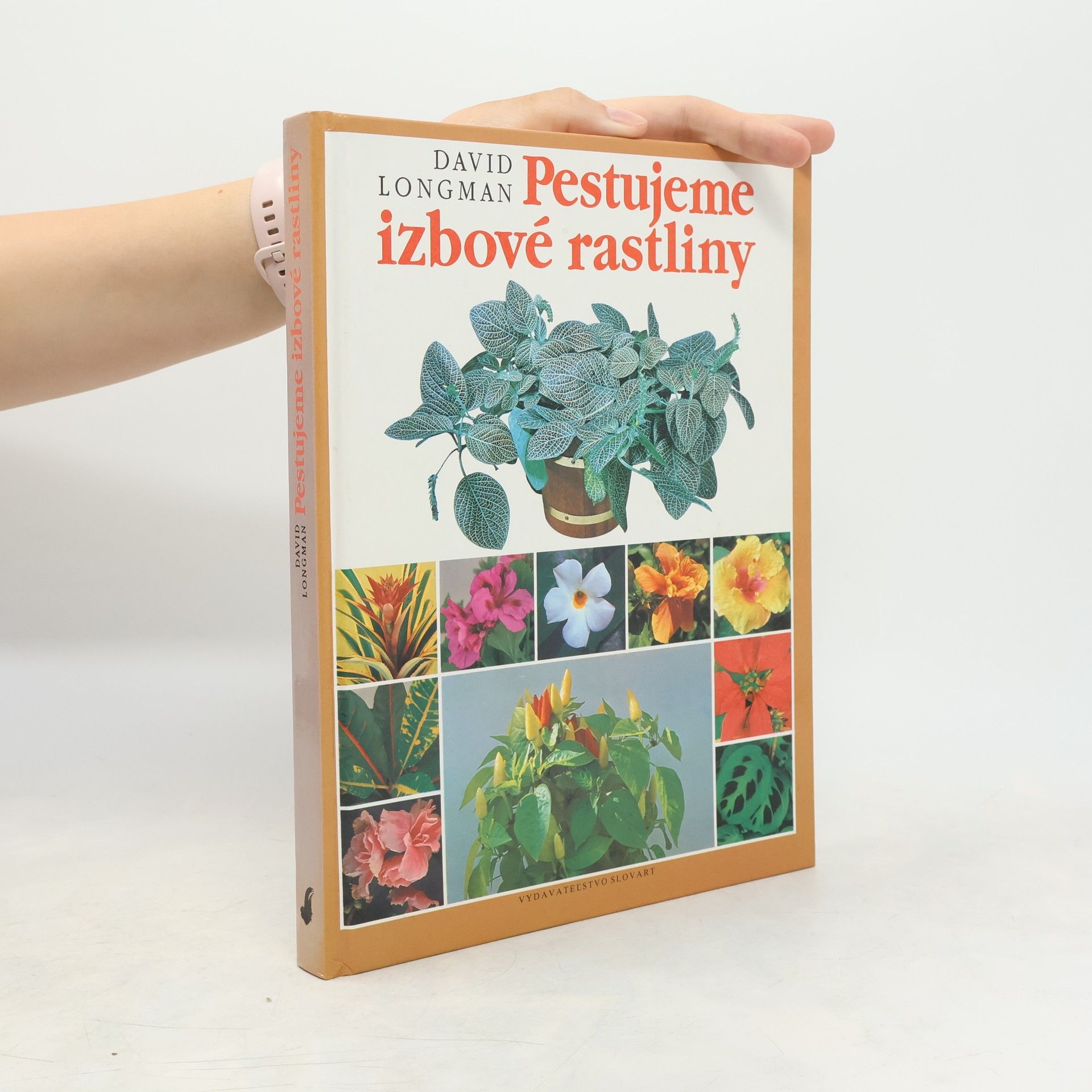 David Longman Pestujeme izbové rastliny