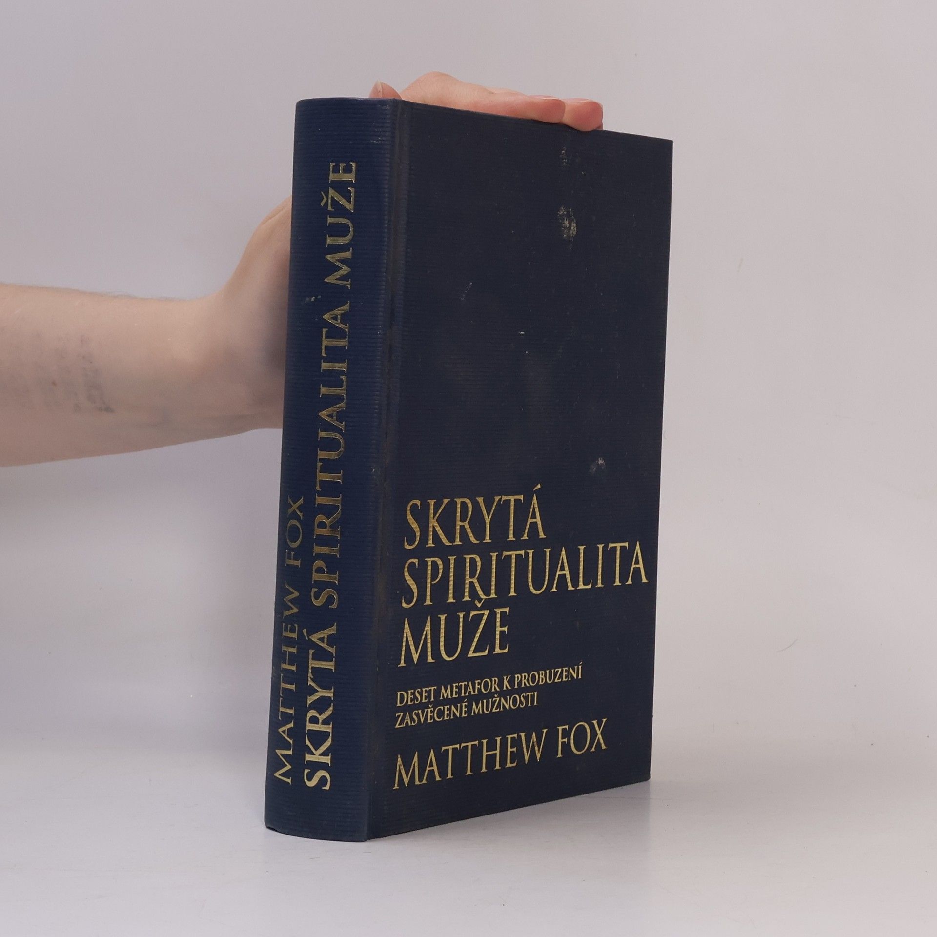 Matthew Fox Skrytá spiritualita muže