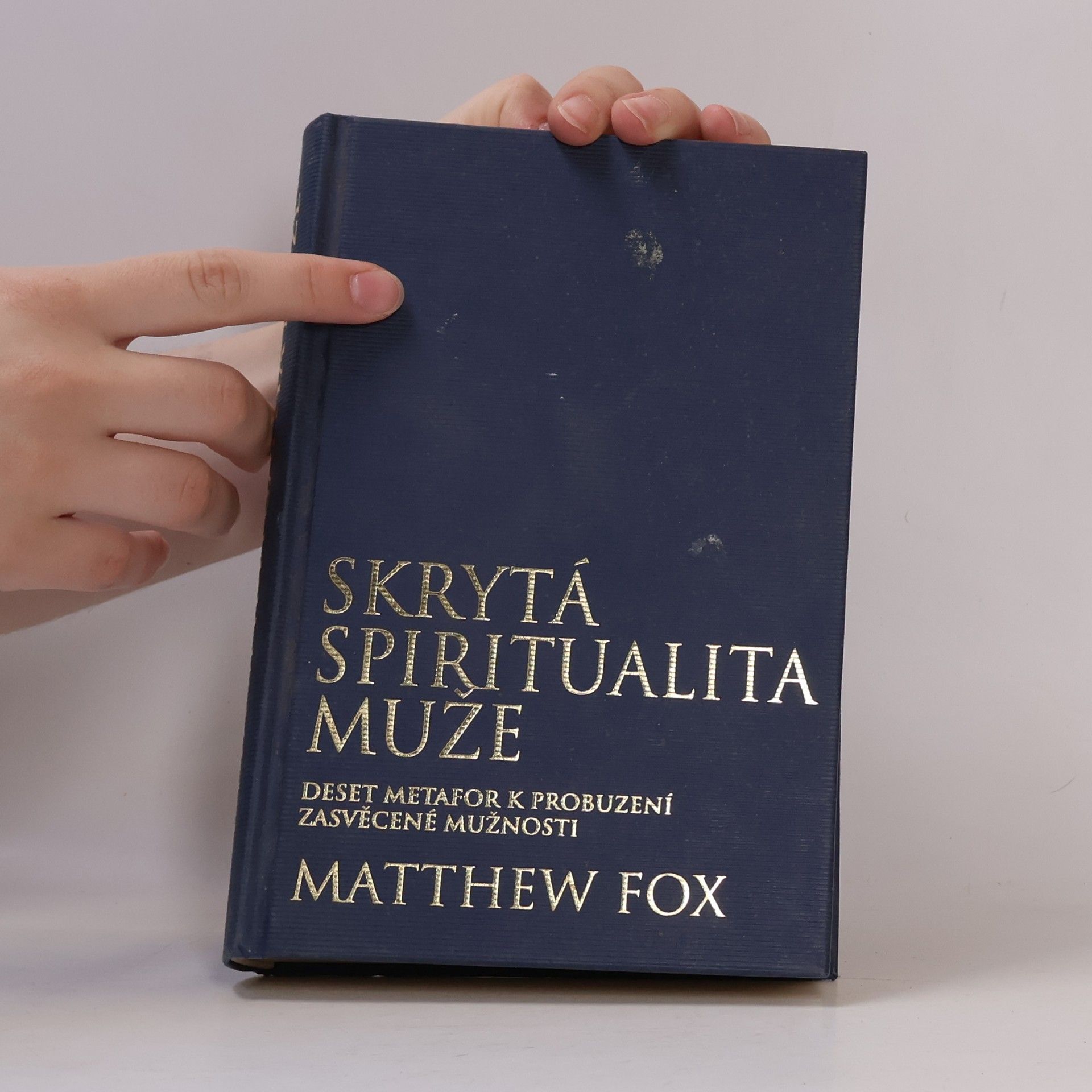 Matthew Fox Skrytá spiritualita muže