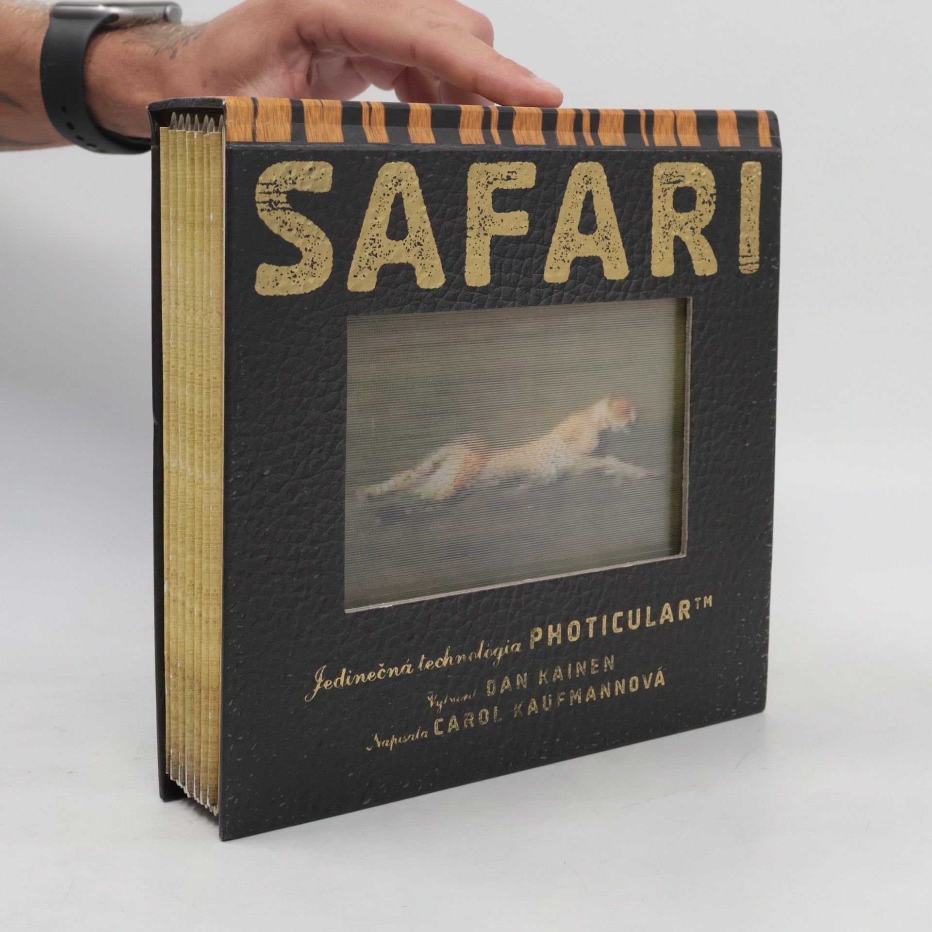 Autores varios Safari
