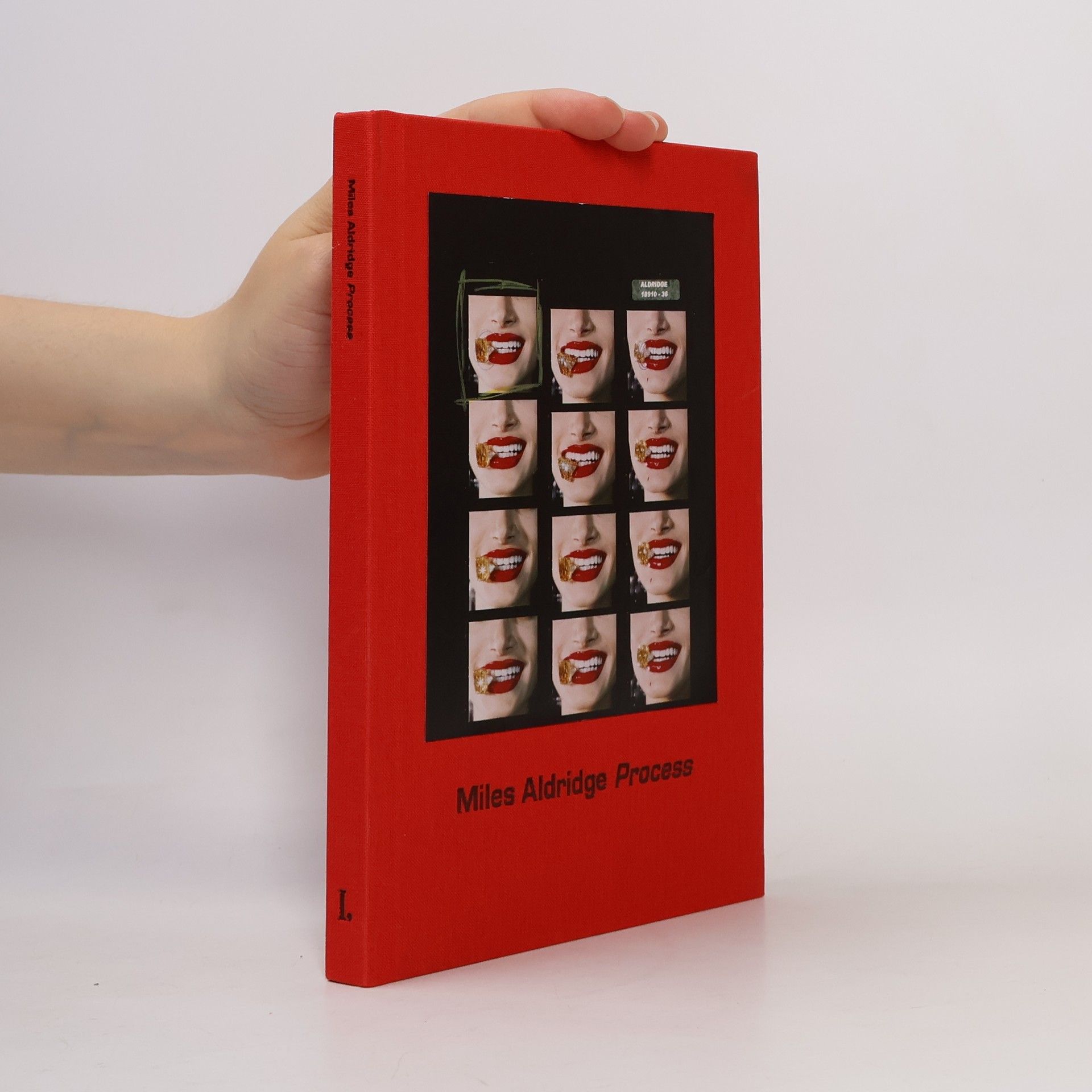Miles Aldridge Process