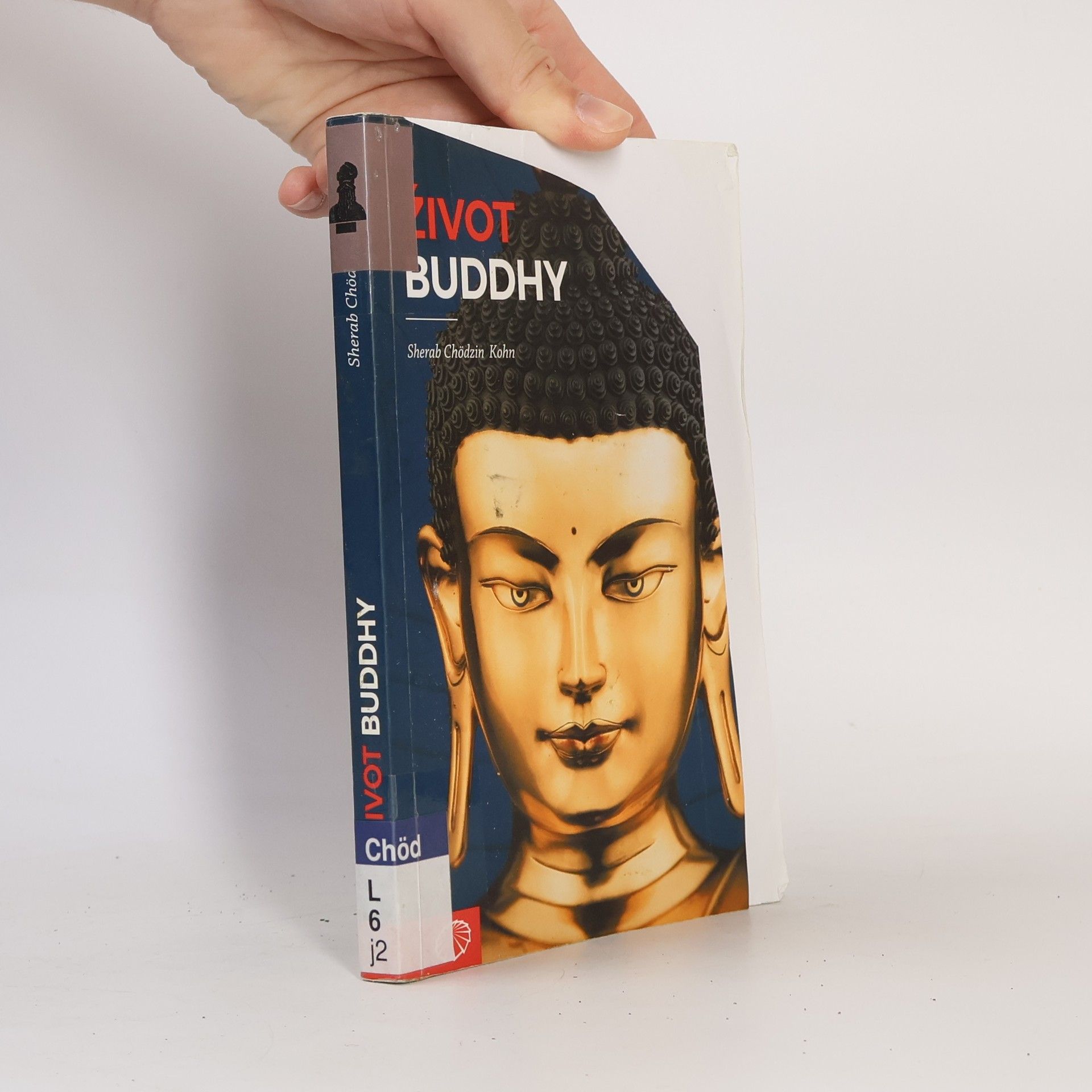 Sherab Chödzin Kohn Život Buddhy