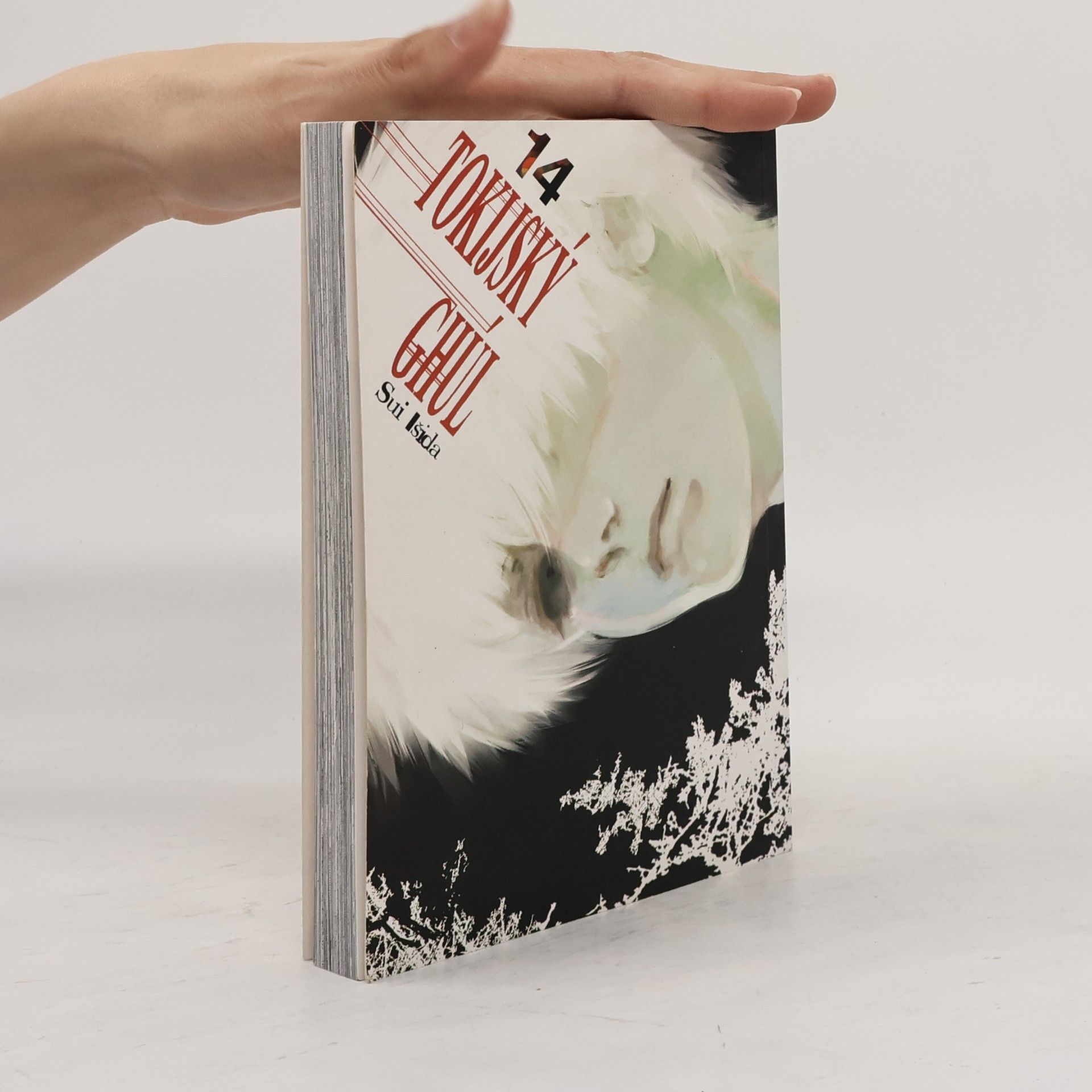 Sui Ishida Tokijský ghúl 14