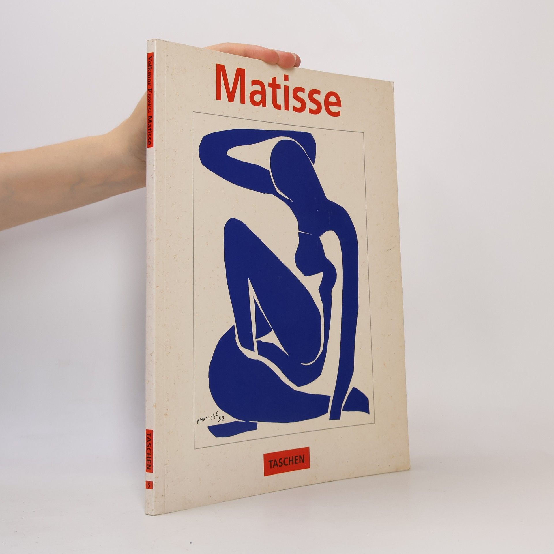 Henri Matisse Meister der Farbe