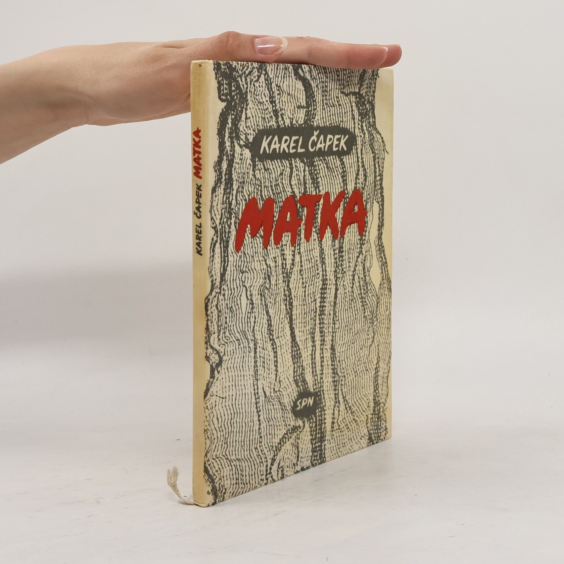 Karel Čapek Matka