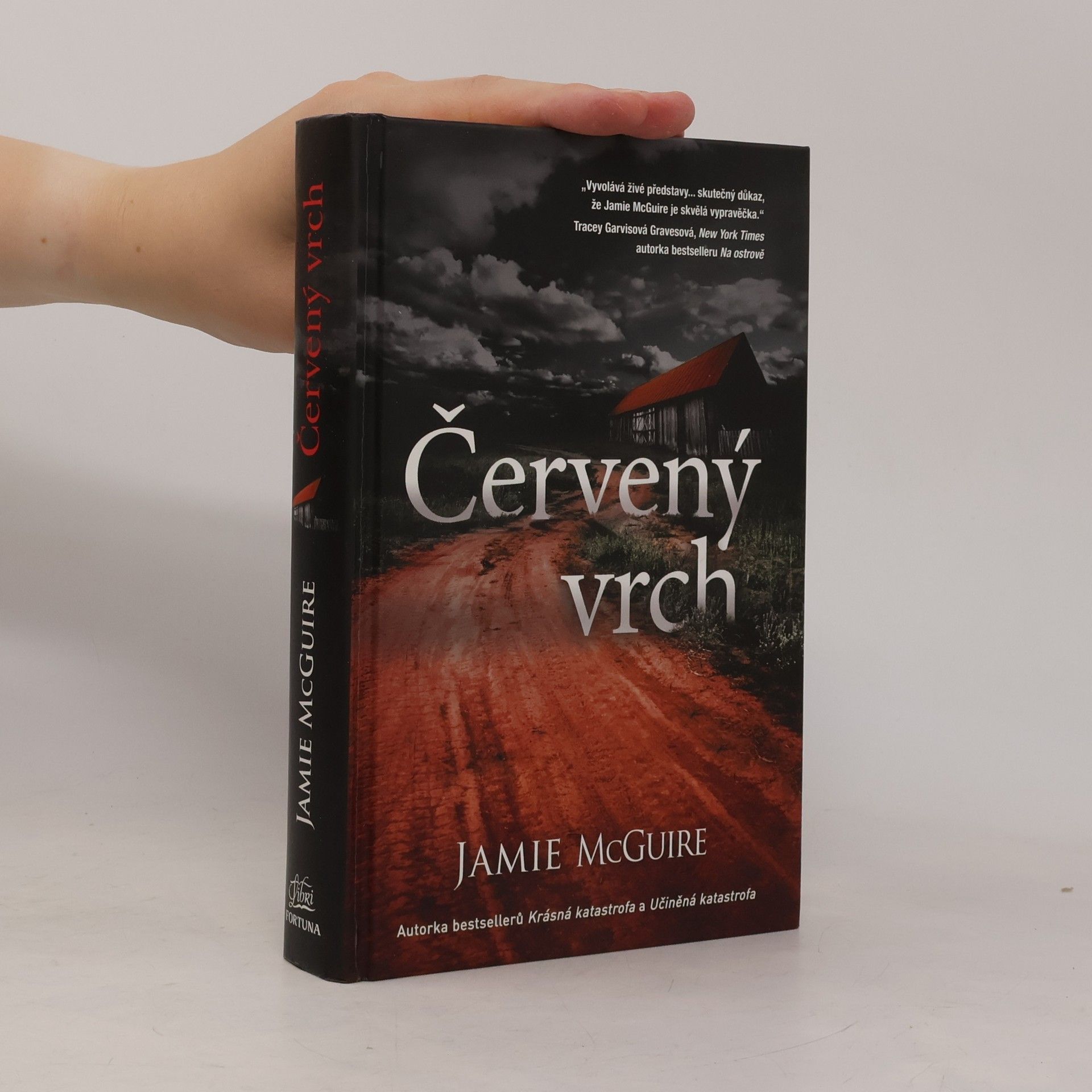 Jamie McGuire Červený vrch