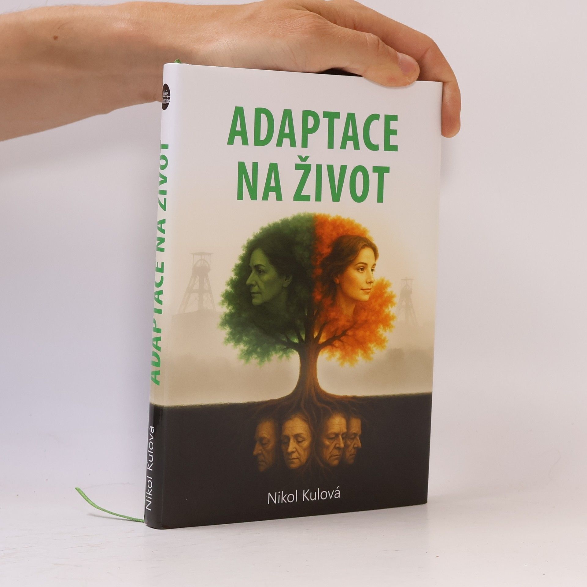 Nikolaj Kulman Adaptace na život