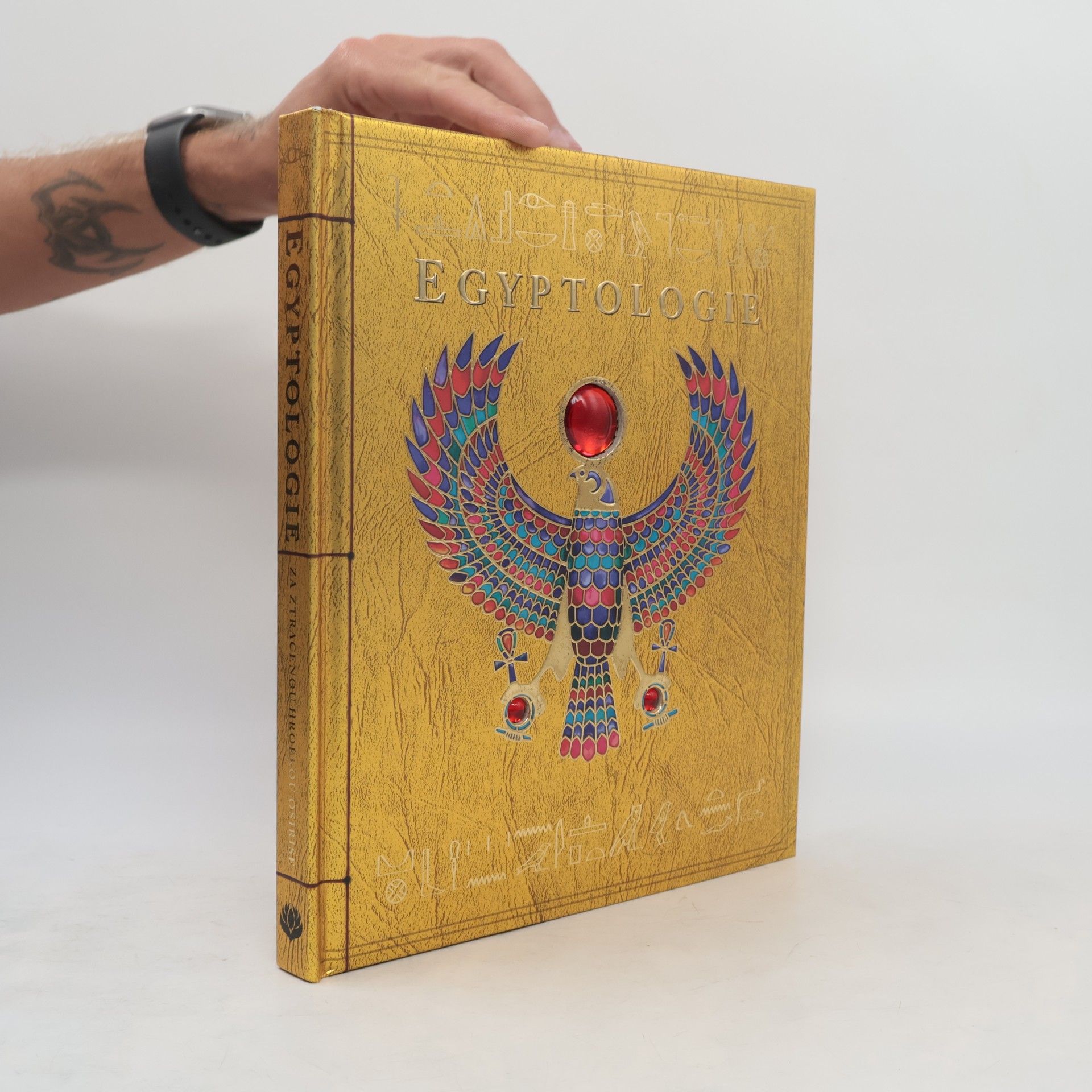 Emily Sands Egyptologie: Za ztracenou hrobkou Osirise