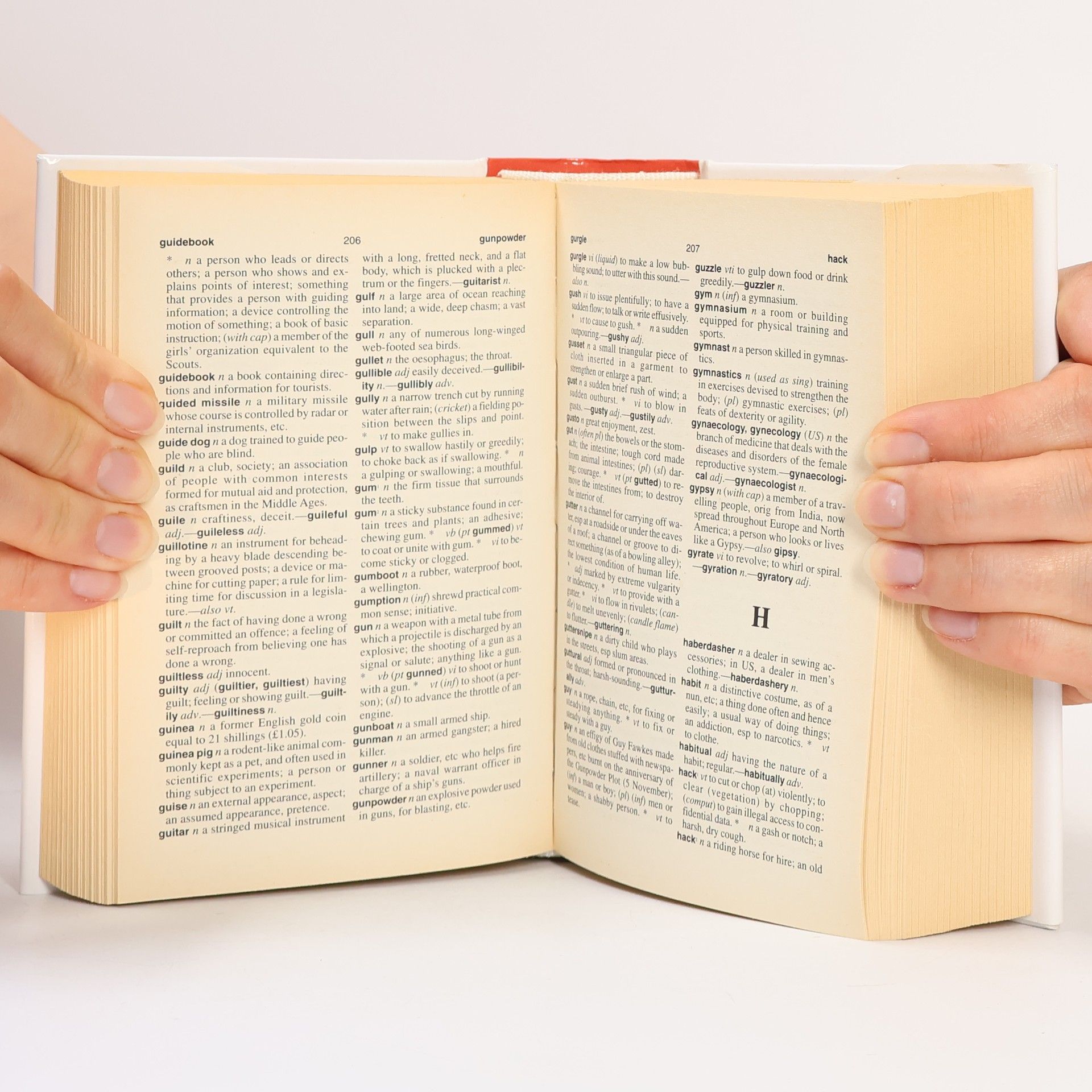 Merriam-Webster Webster's New English Dictionary