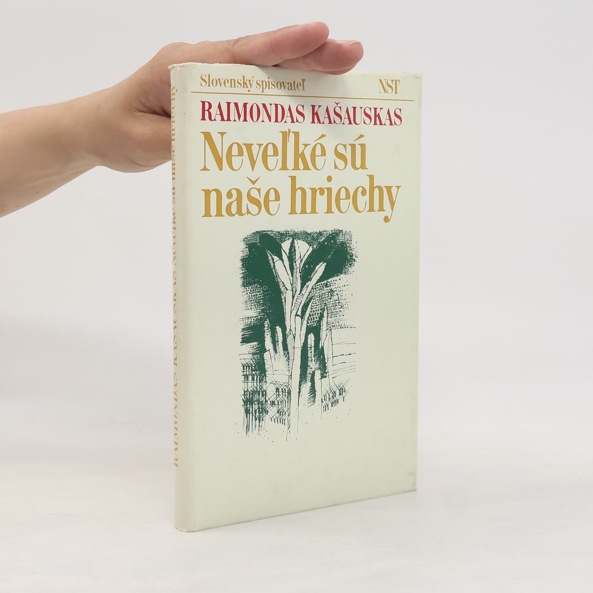 Kašauskas Raimond Neveľké sú naše hriechy