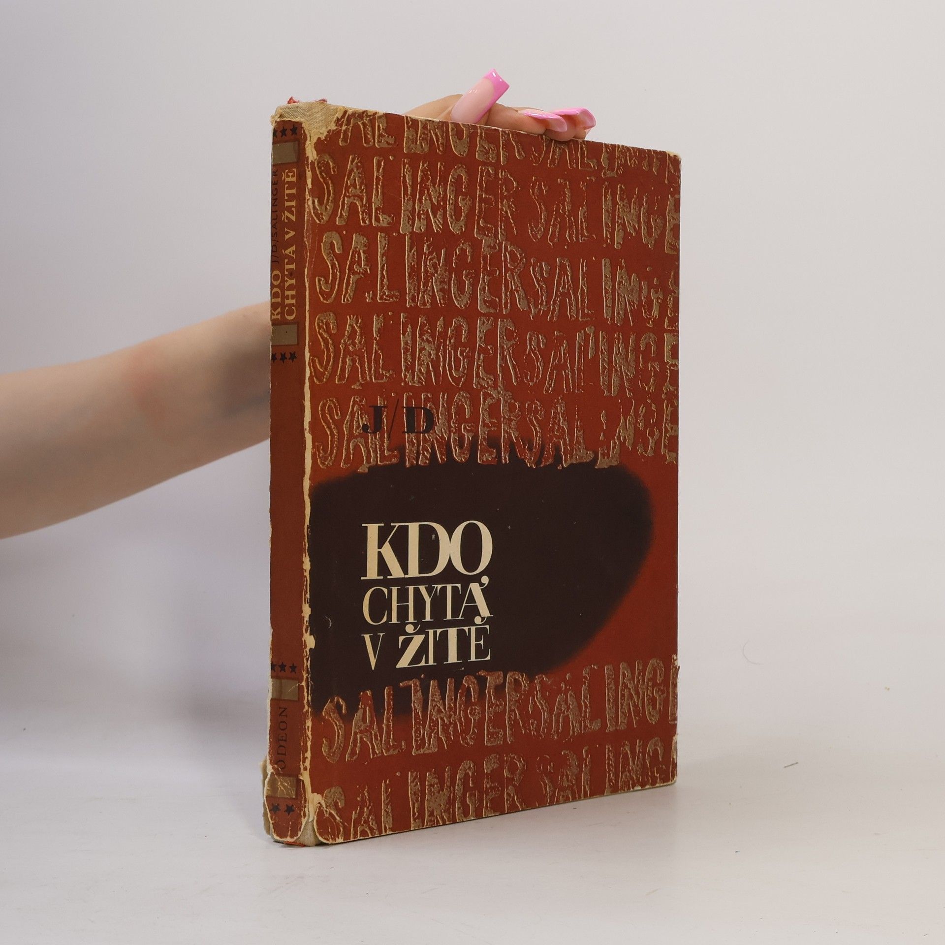 J. D. Salinger Kdo chytá v žitě