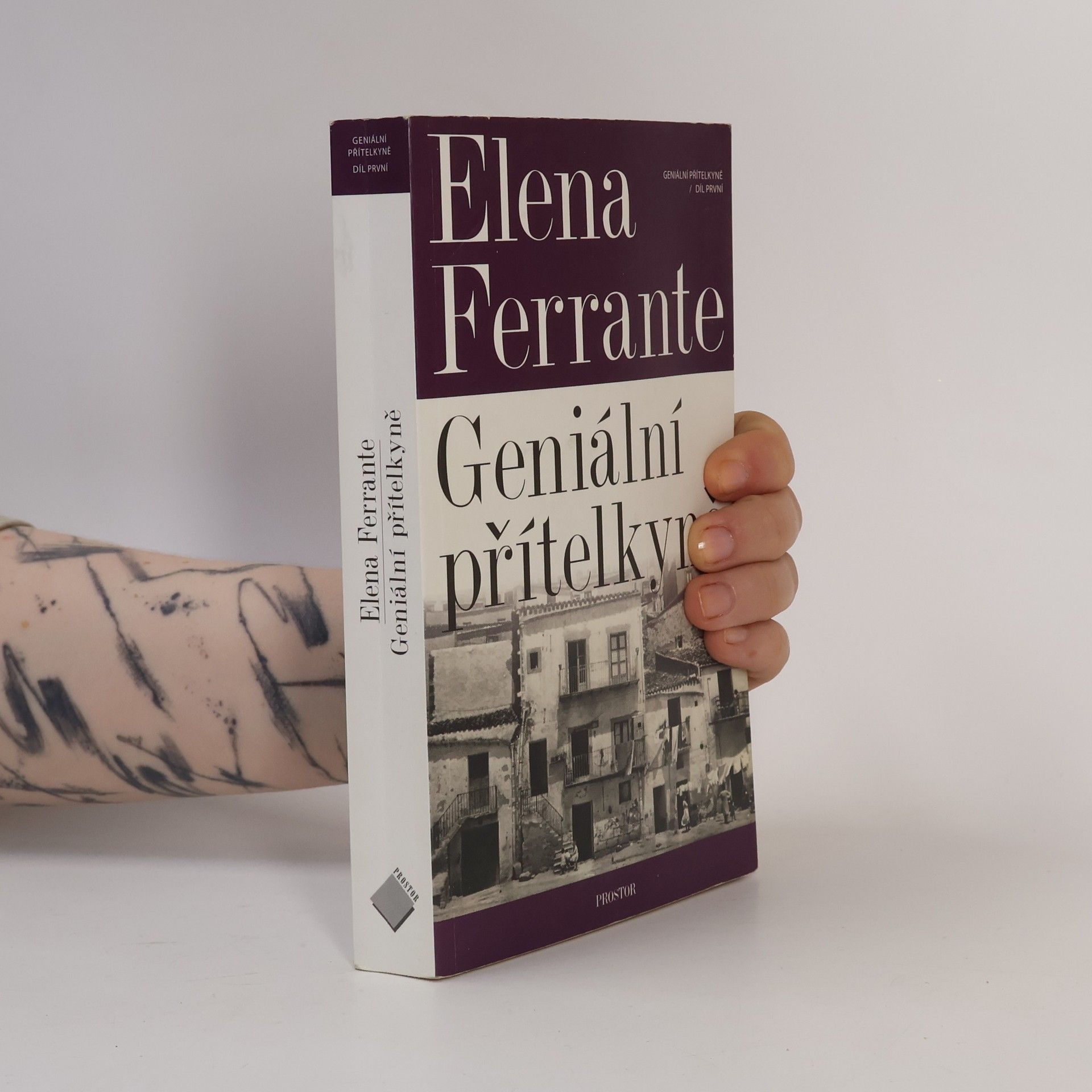 Elena Ferrante Geniální přítelkyně 1. Dětství a dospívání