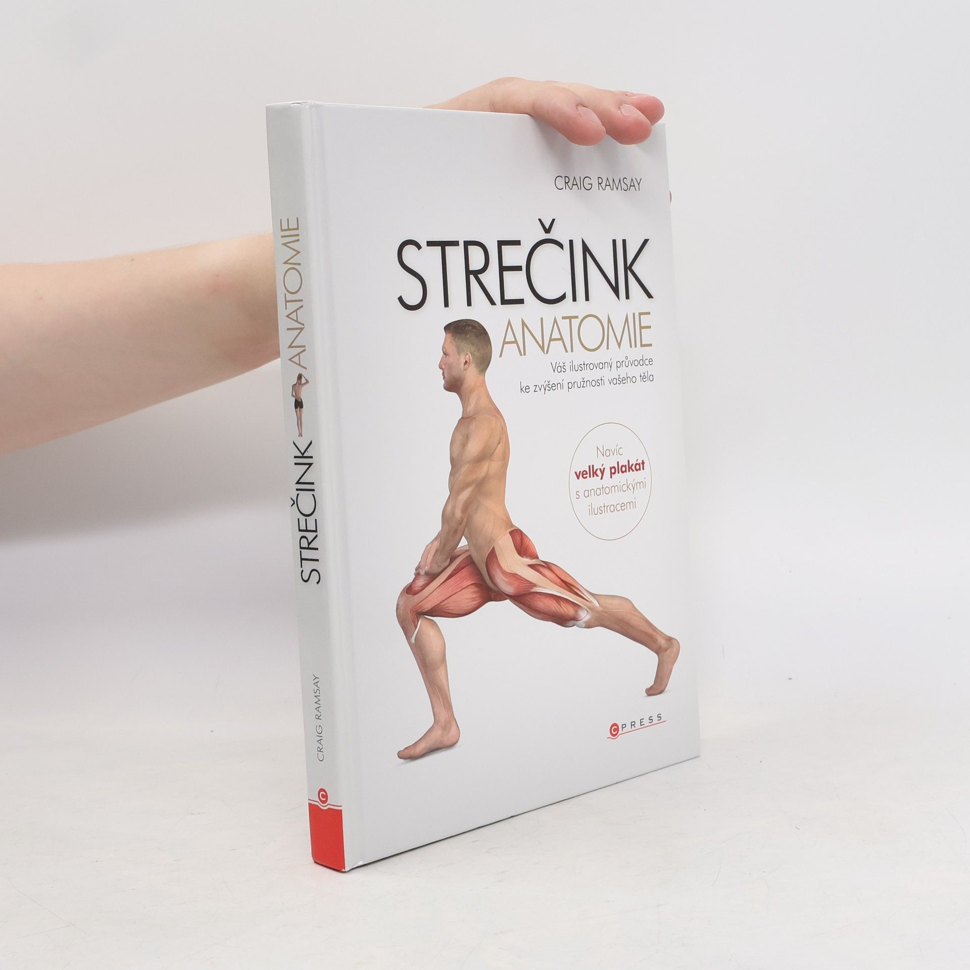 Craig Ramsay Strečink - anatomie