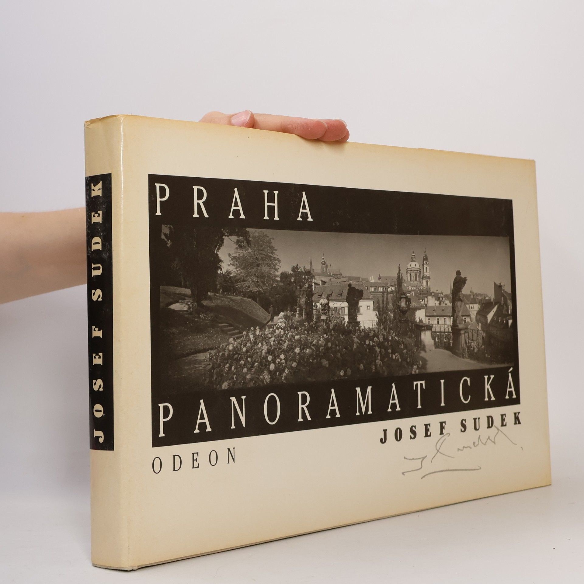 Praha panoramatická