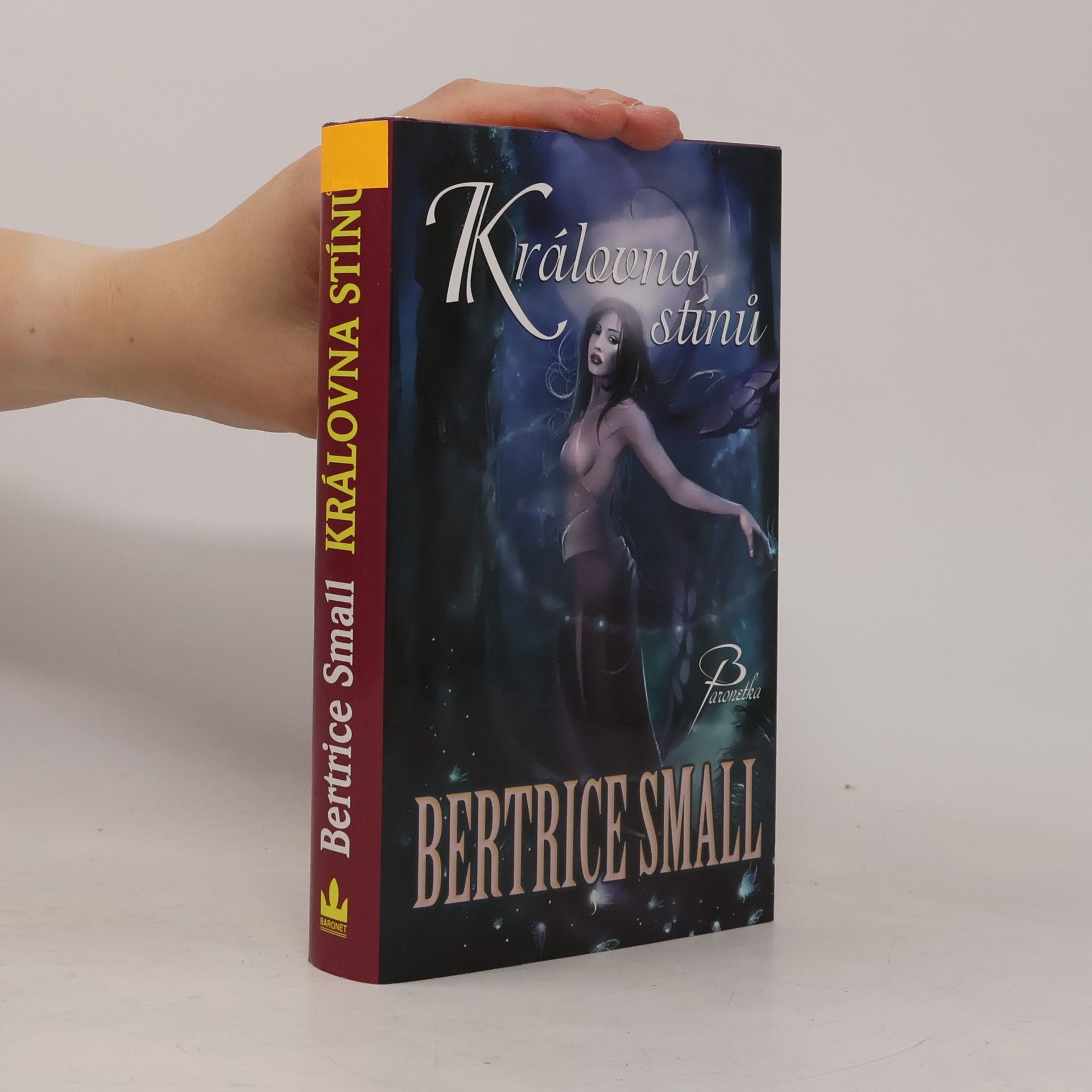 Bertrice Small Královna stínů