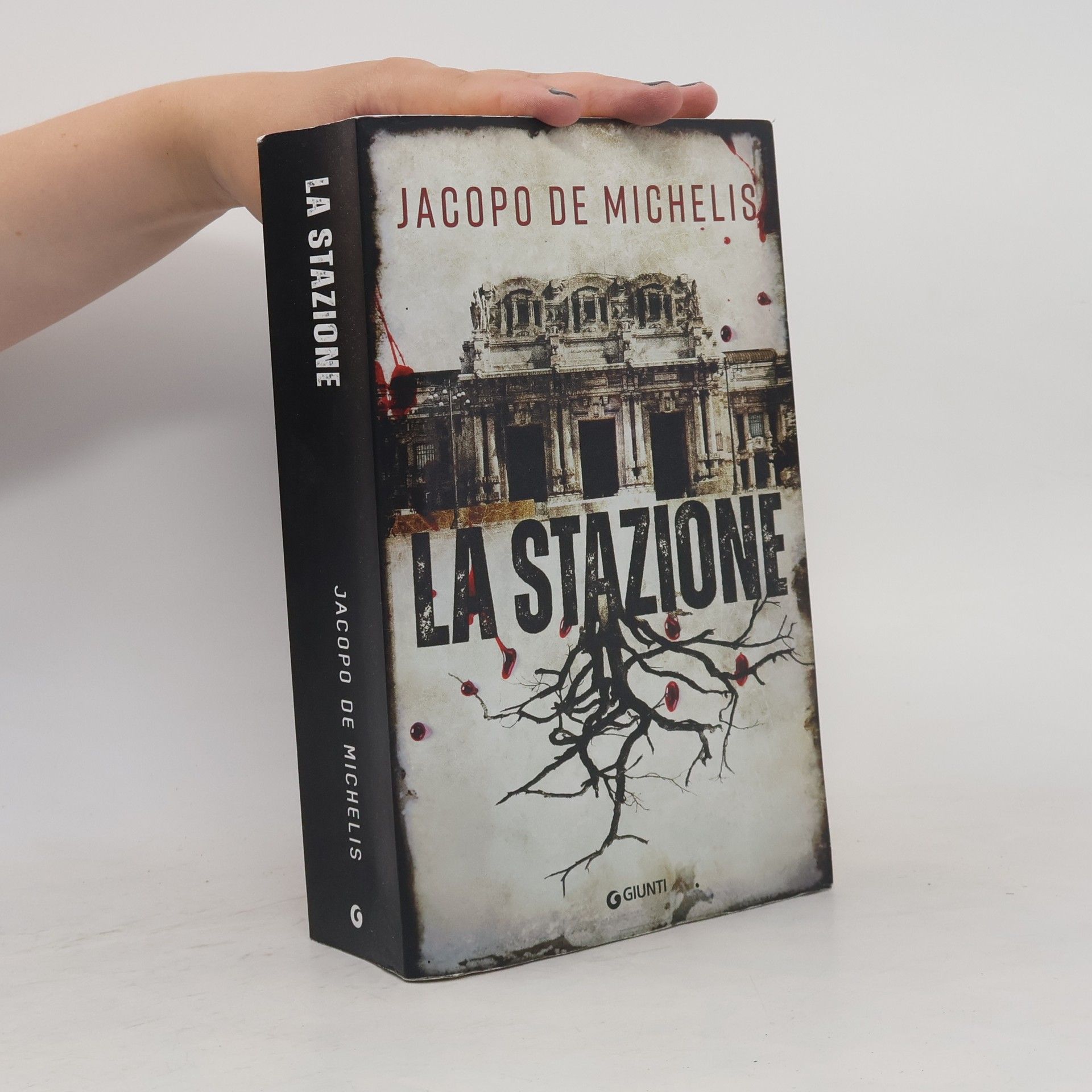 Jacopo De Michelis La stazione