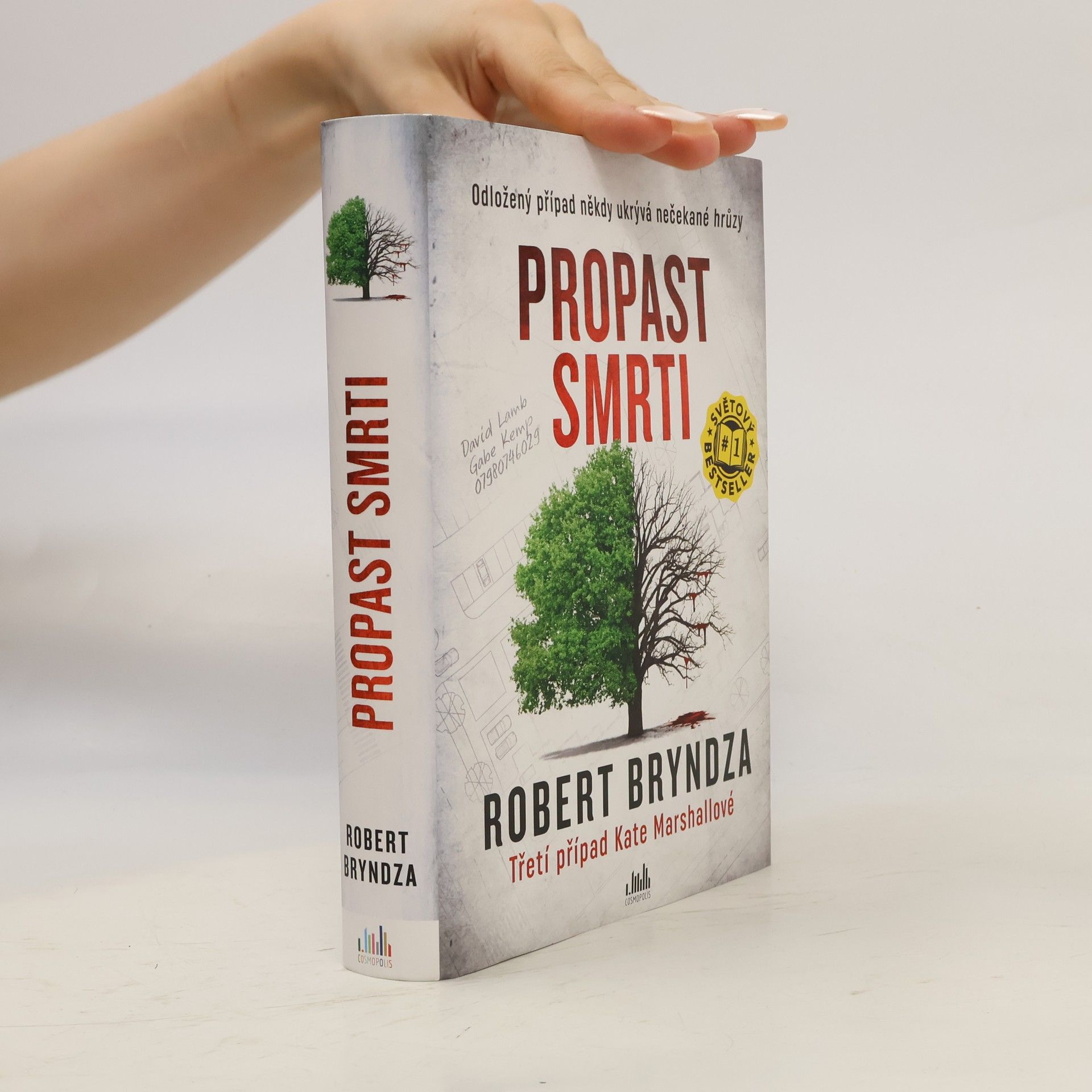 Robert Bryndza Propast smrti