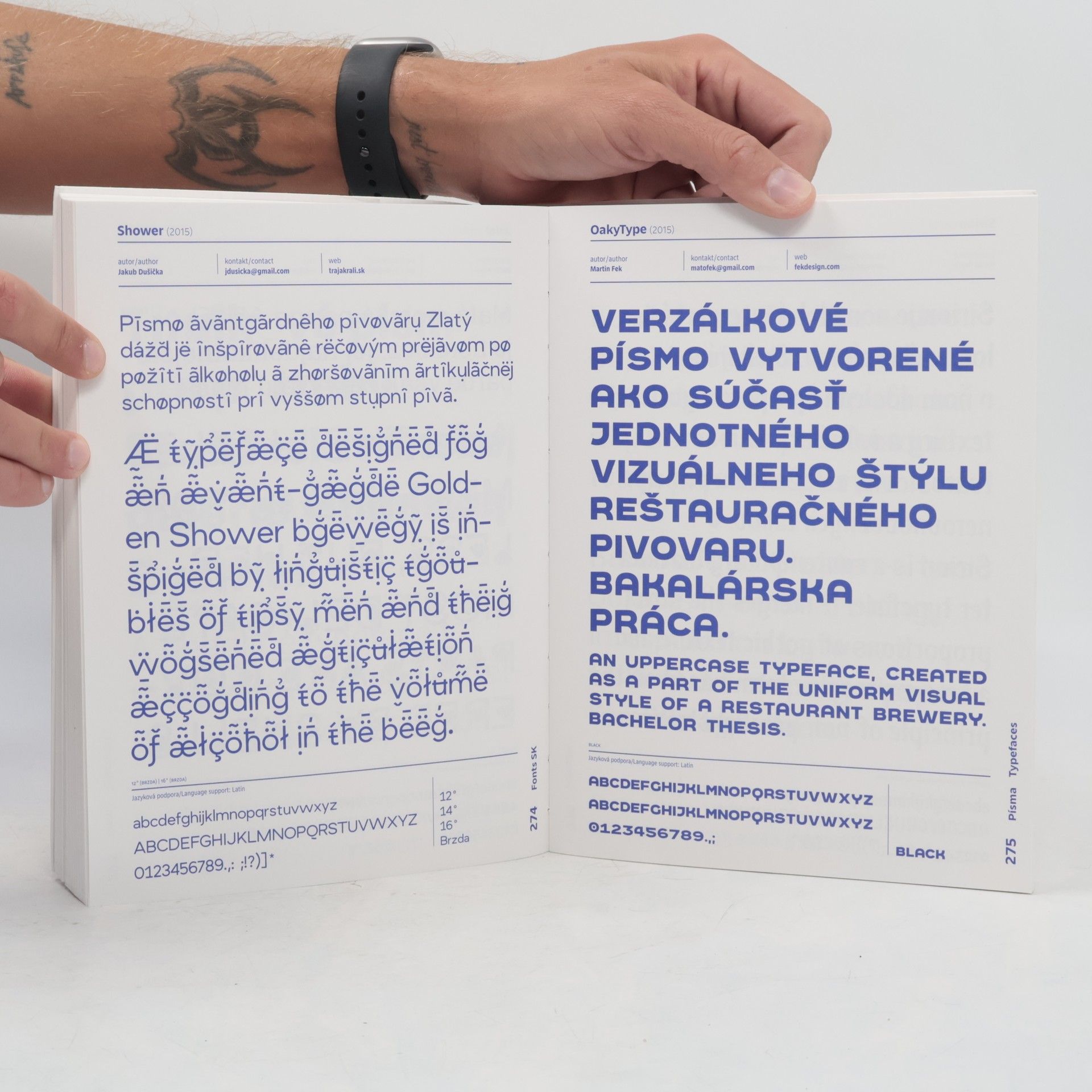Samuel Čarnoký Fonts SK. Dizajn digitalizovaného písma na Slovensku