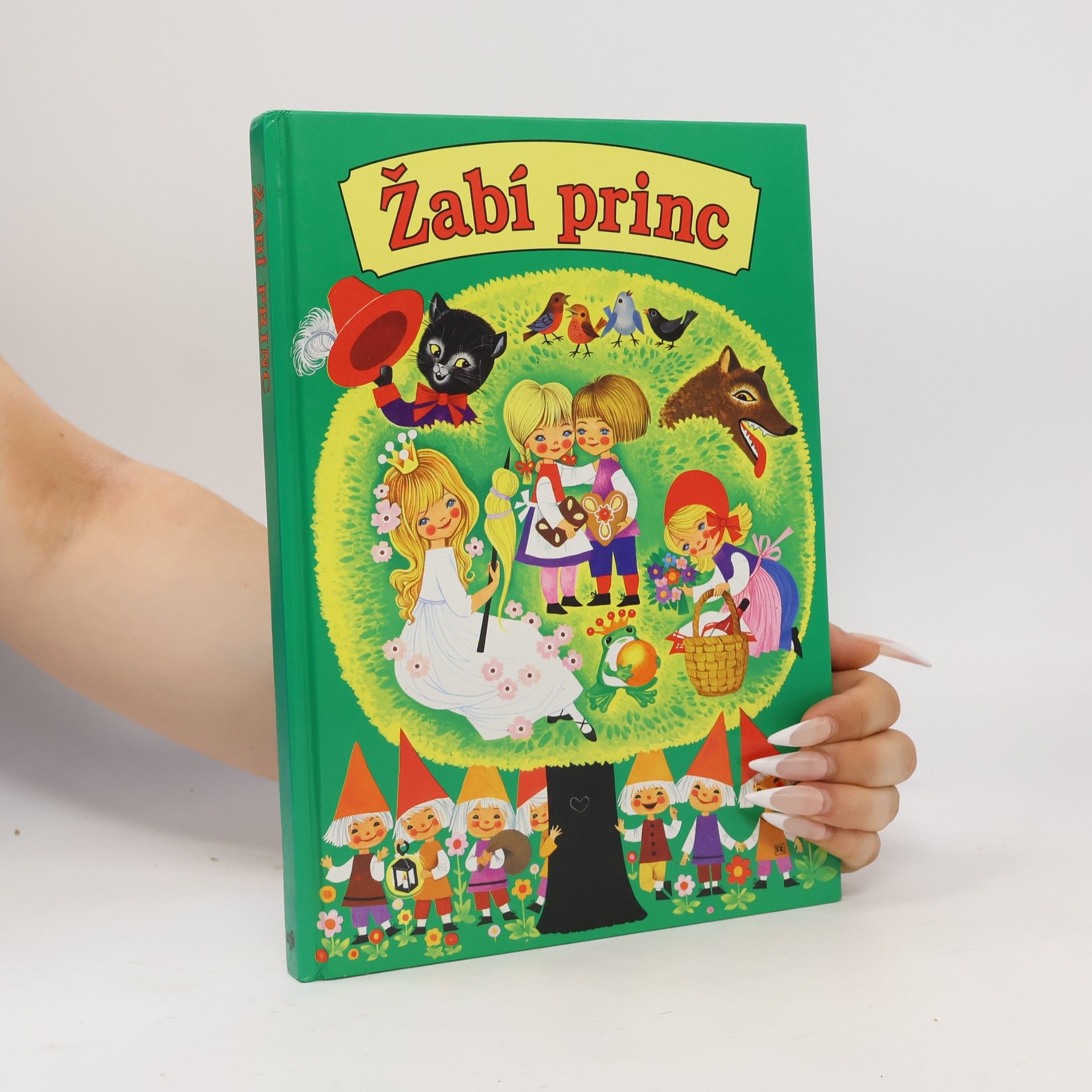 Hans Christian Andersen Žabí princ : pohádky na motivy bratří Grimmů a Hanse Christiana Andersena