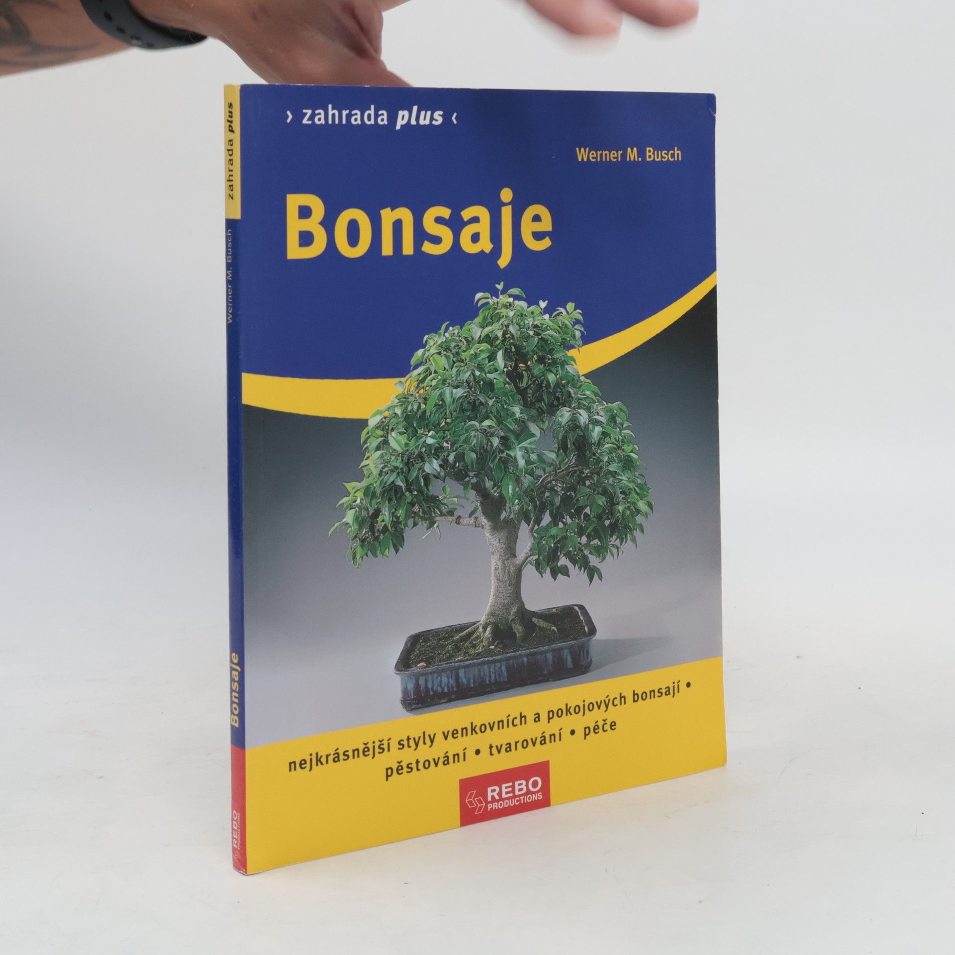 Werner M. Busch Bonsaje: Nejkrásnější styly venkovních a pokojových bonsají : pěstování, tvarování, péče
