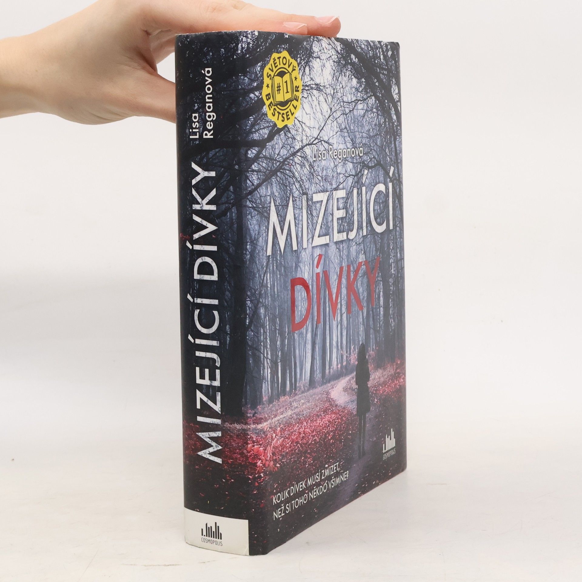 Lisa Regan Mizející dívky