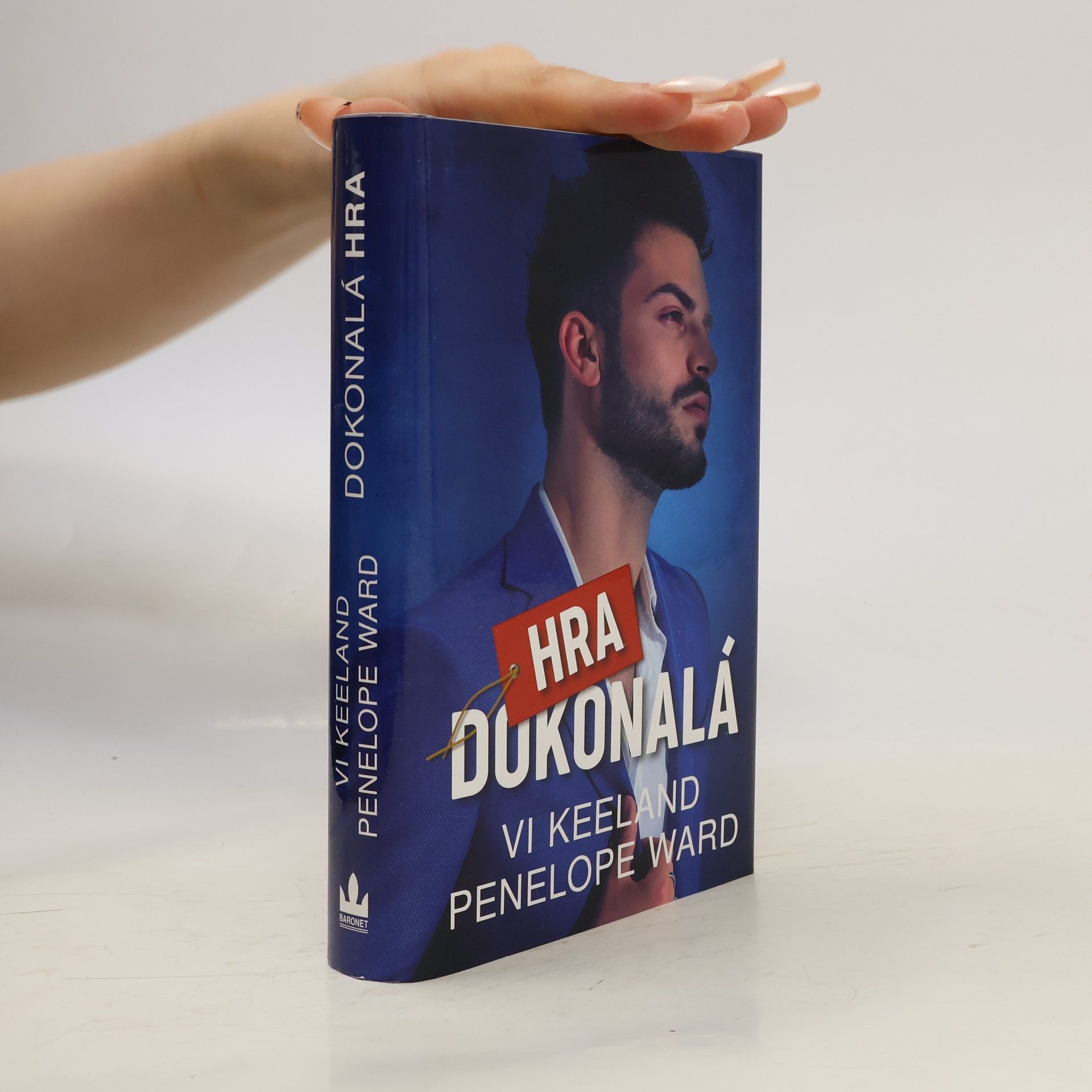 Vi Keeland Dokonalá hra