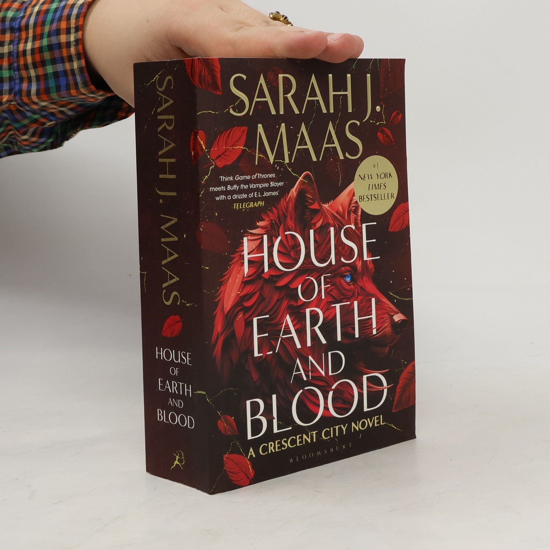 Sarah J. Maas House of Earth and Blood