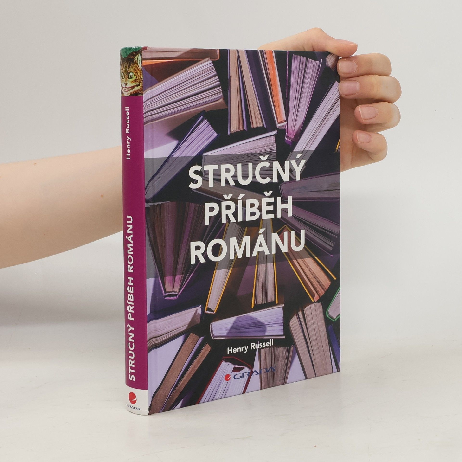 Stručný příběh románu