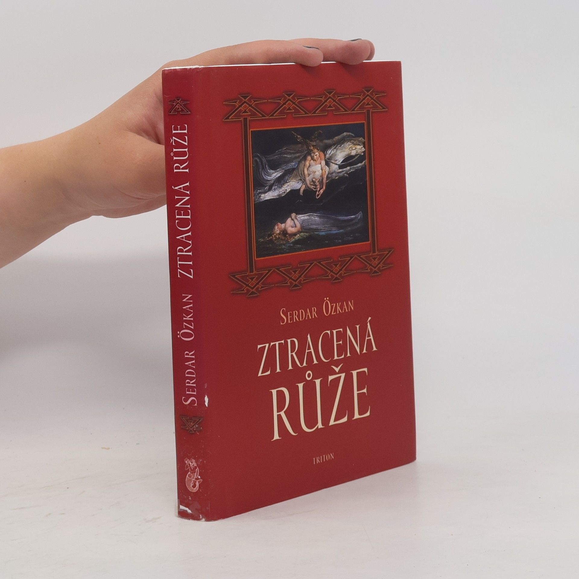 Serdar Özkan Ztracená růže